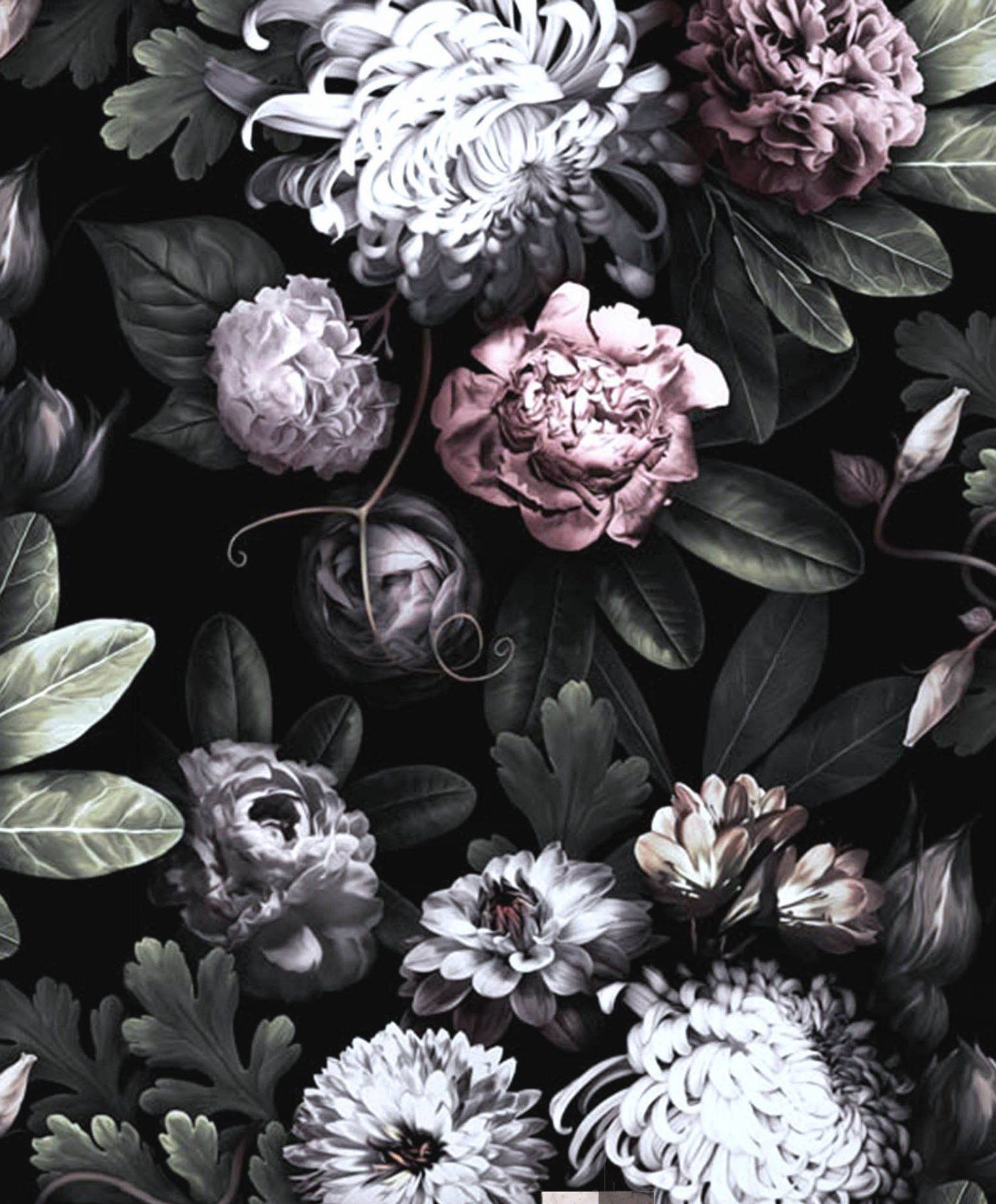 Fiori vintage su sfondo nero, 1588x1919 Verticale, OnePlus
