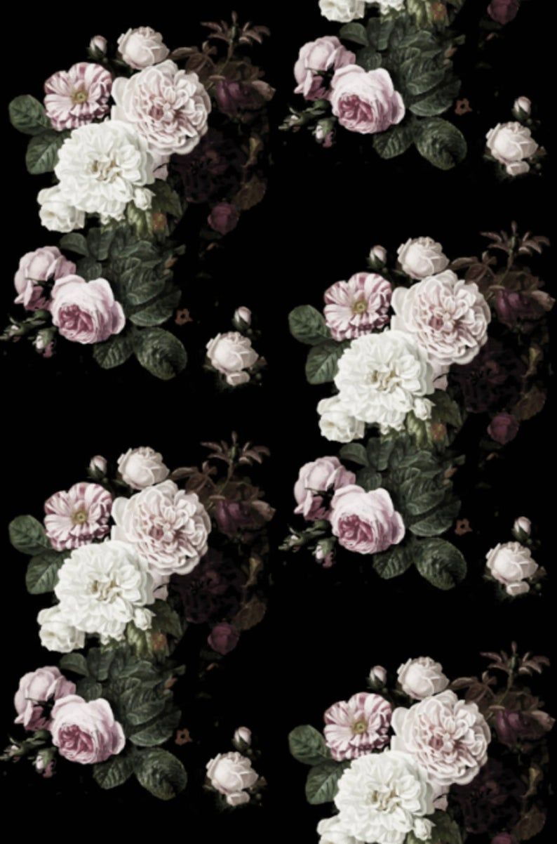 Rose rosa e bianche su nero, 794x1202 Full HD Verticale, Google Pixel