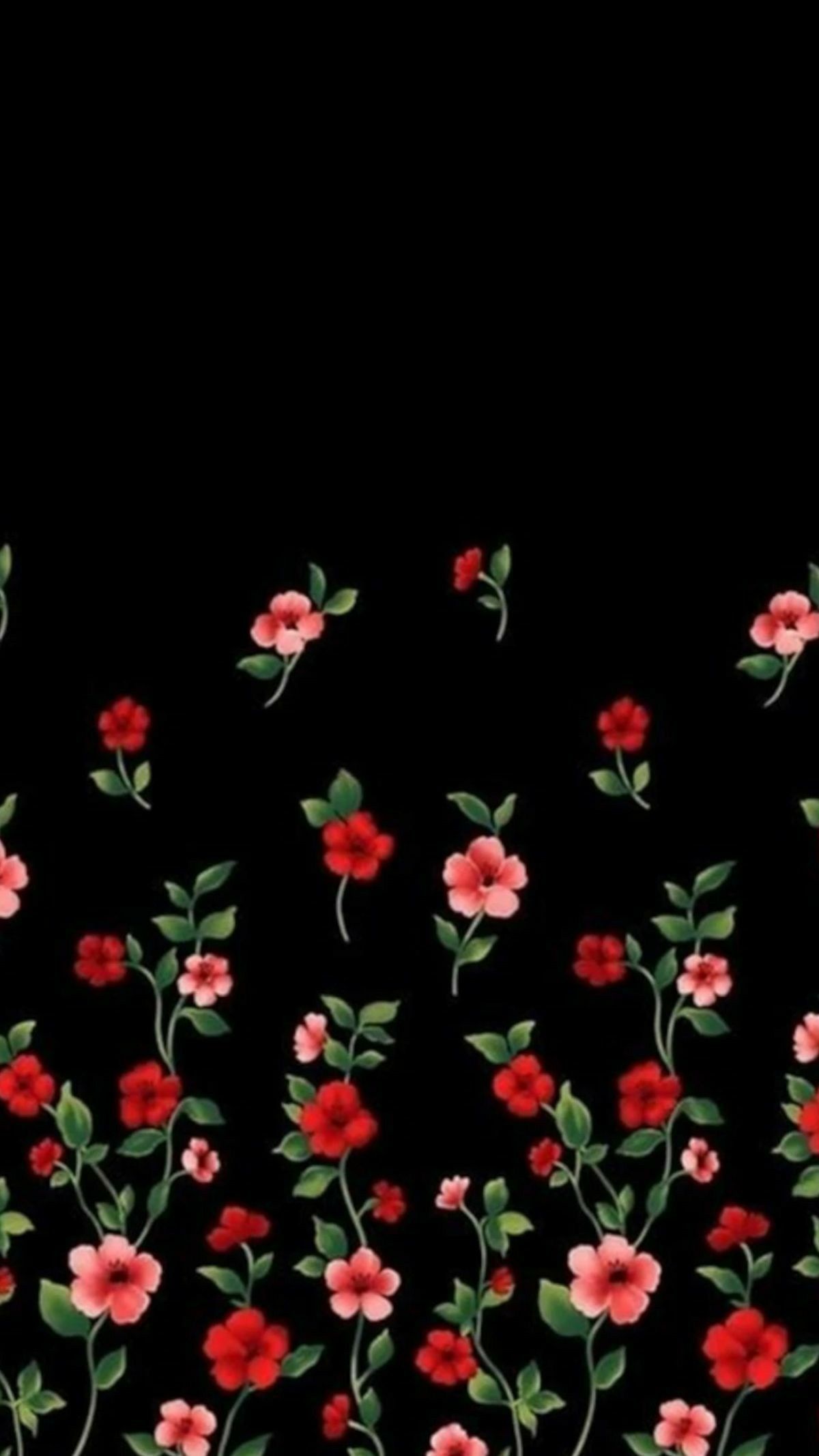 Fiori rossi su nero, 1200x2133 Verticale, Mobile