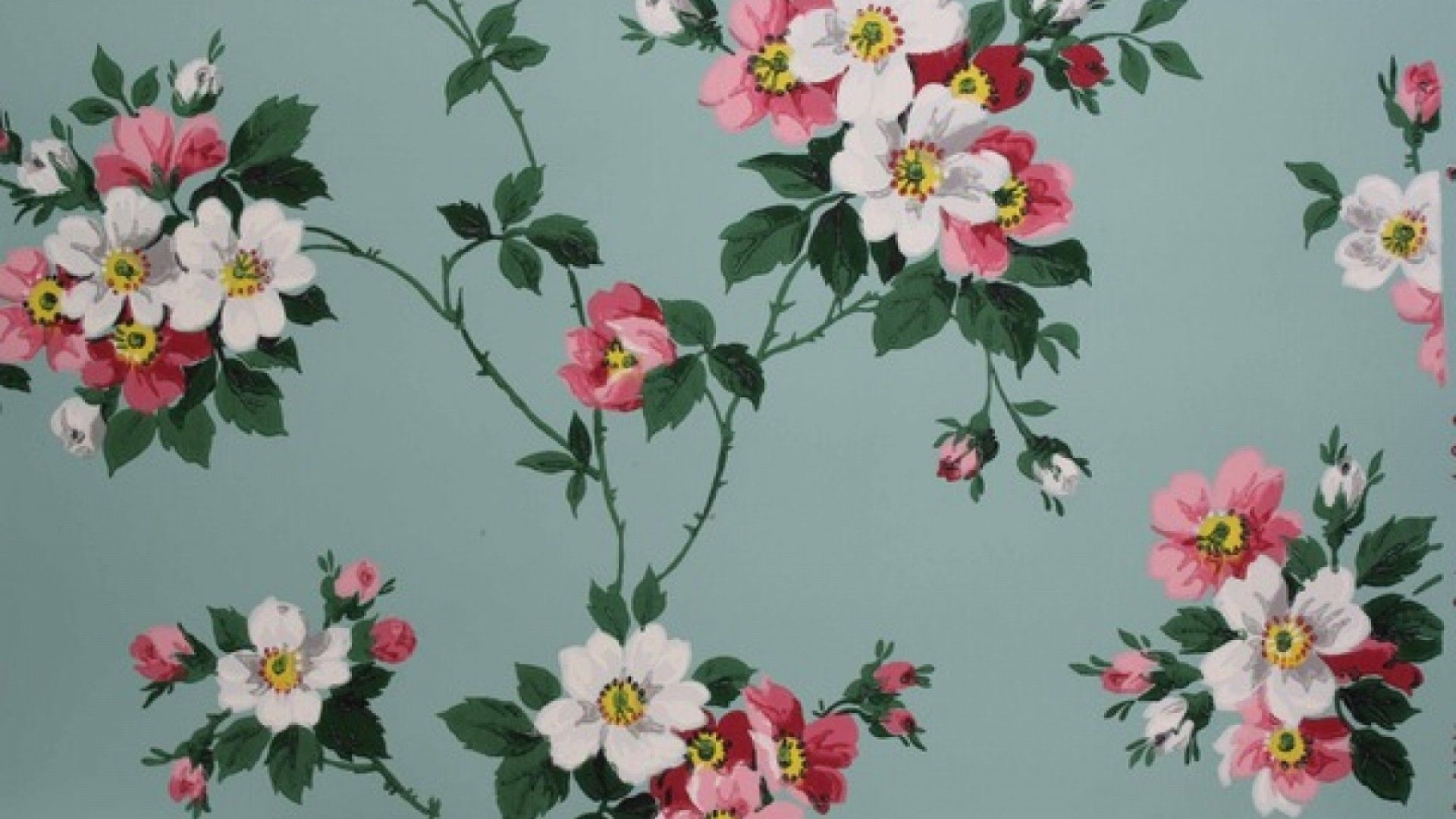 Fiori rosa e bianchi su verde, 1920x1080 Full HD 1080p, PC Desktop