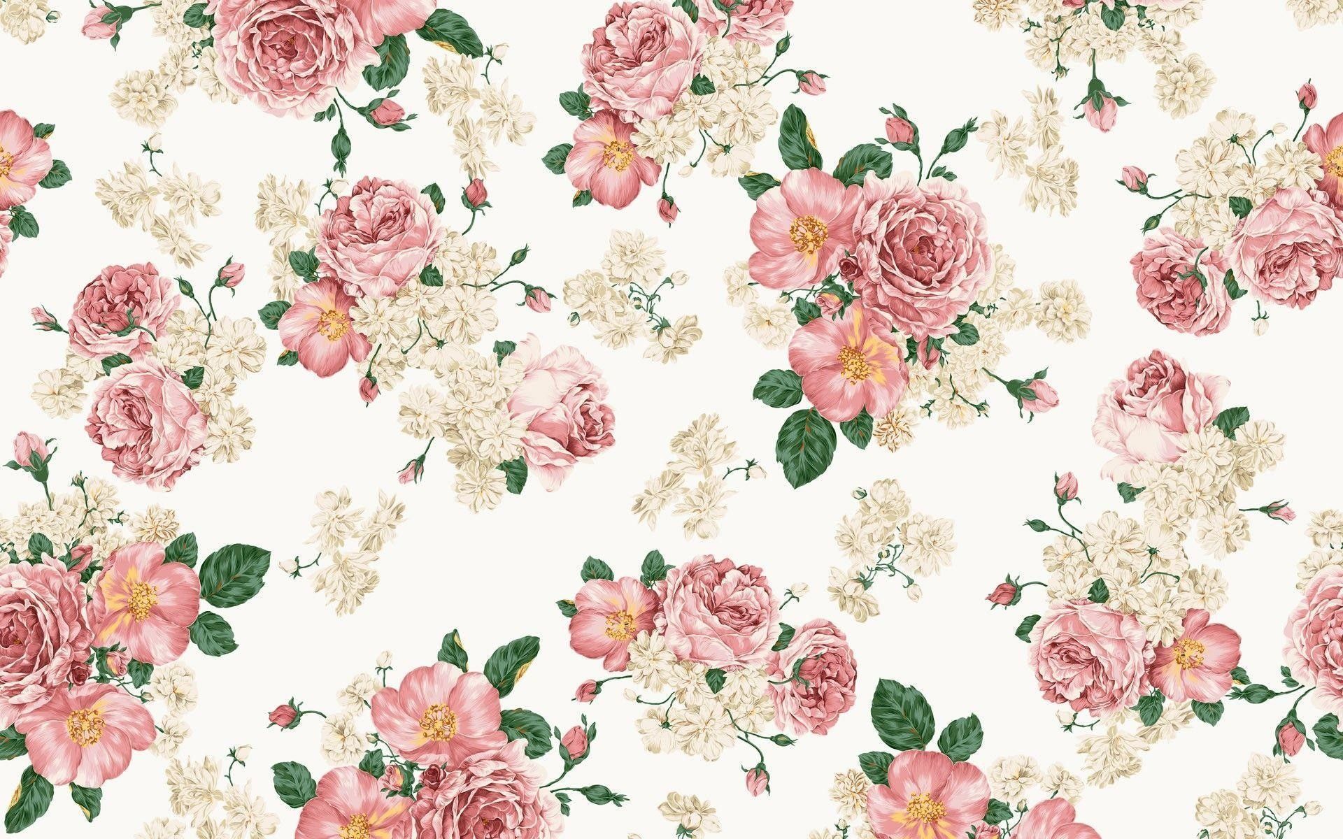 Rose rosa pattern floreale, 1920x1200 Full HD+, Desktop