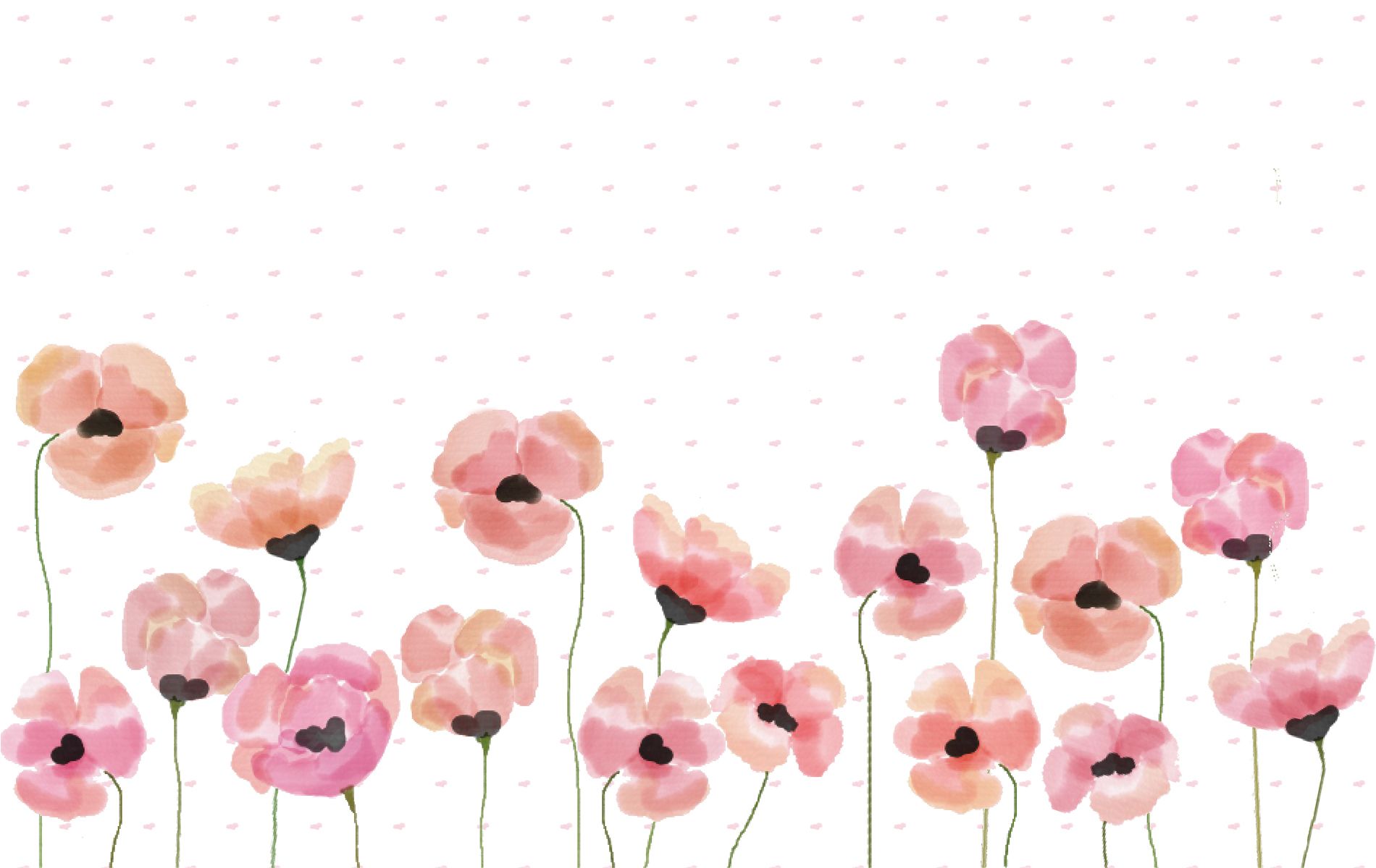 papaveri rosa acquerello, 1900x1200 HD, PC Desktop