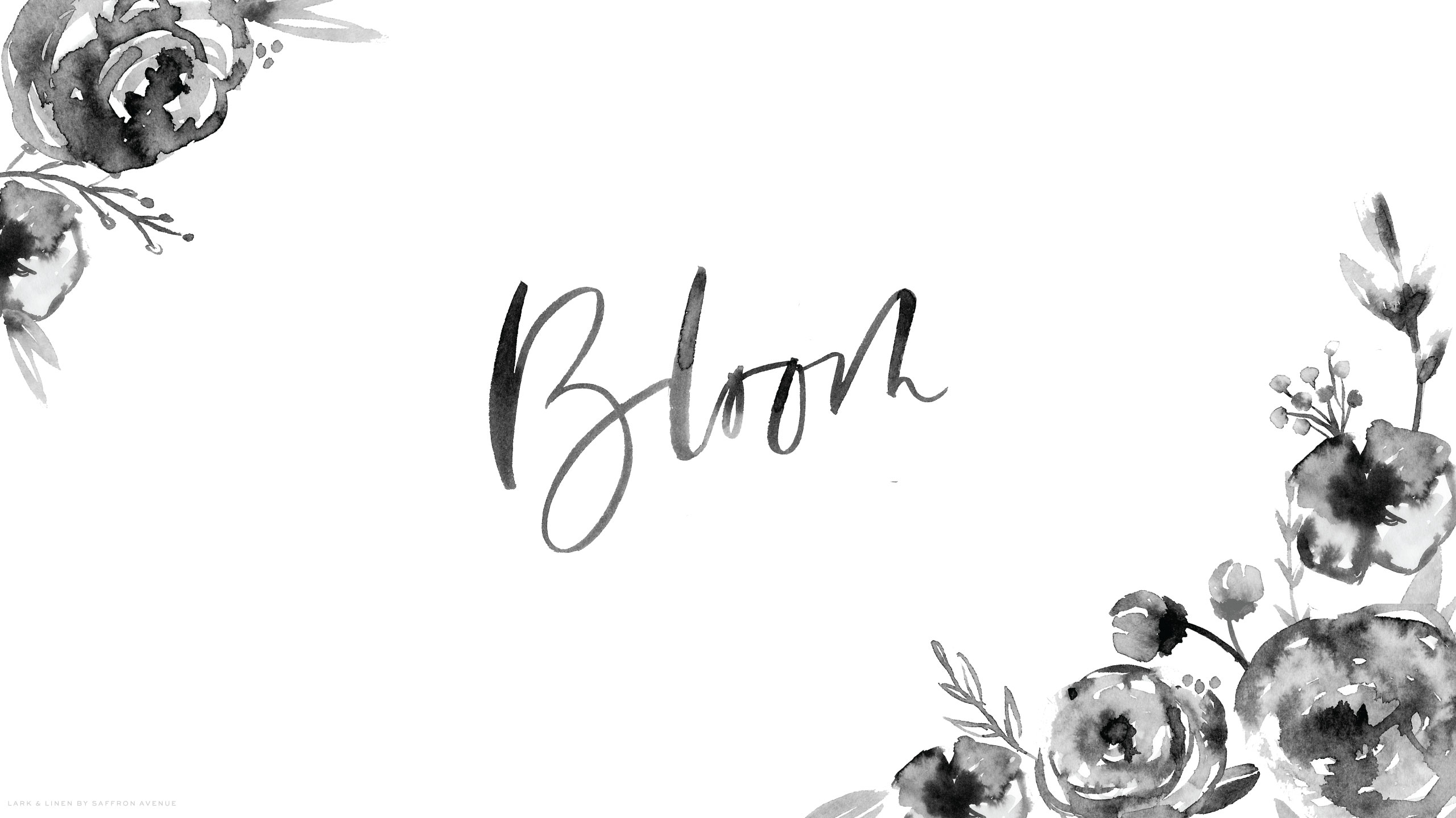 Fiori acquerello bianco e nero, 2560x1440 1440p, Desktop