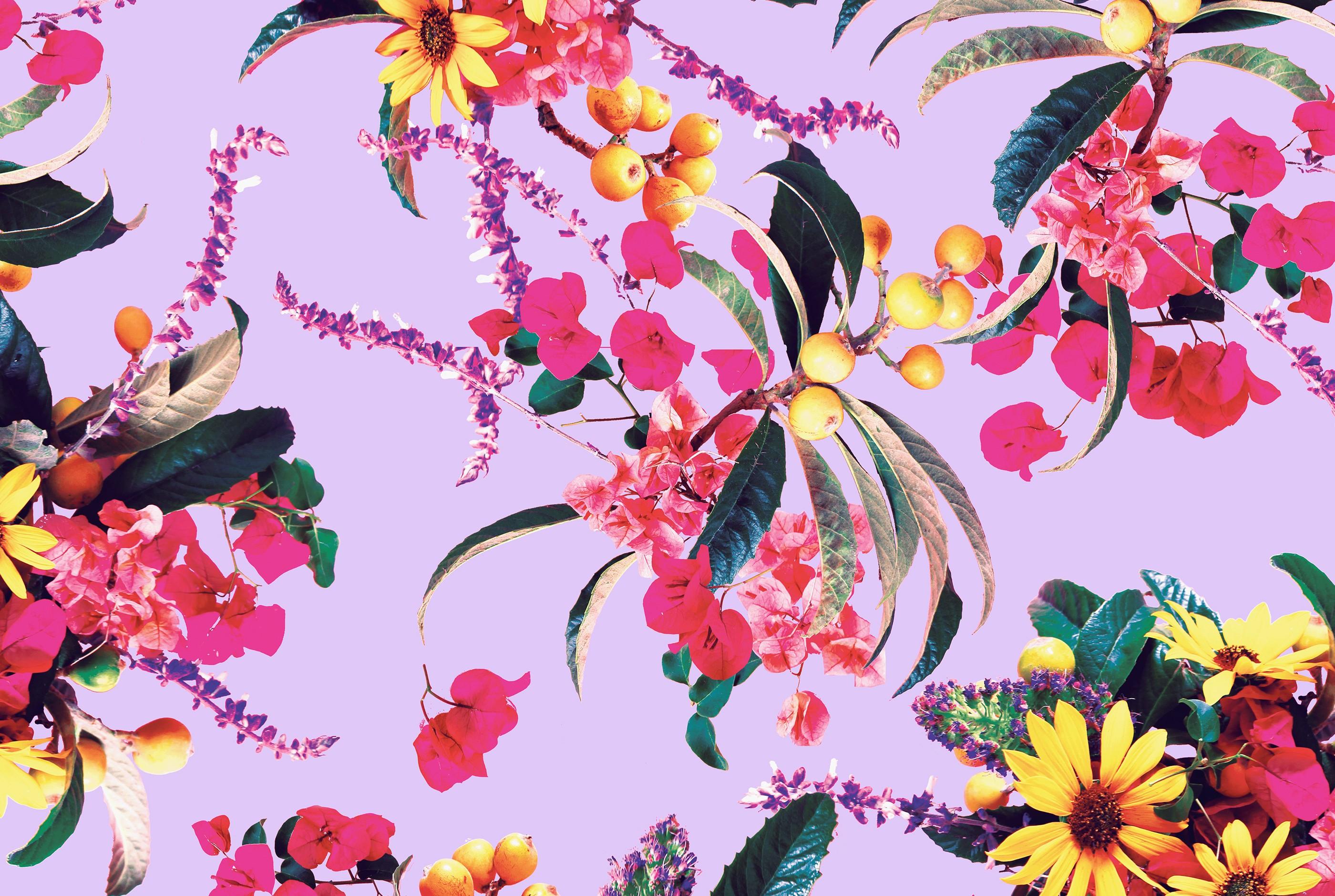 Fiori tropicali su lilla, 2800x1880 WQXGA, PC Desktop