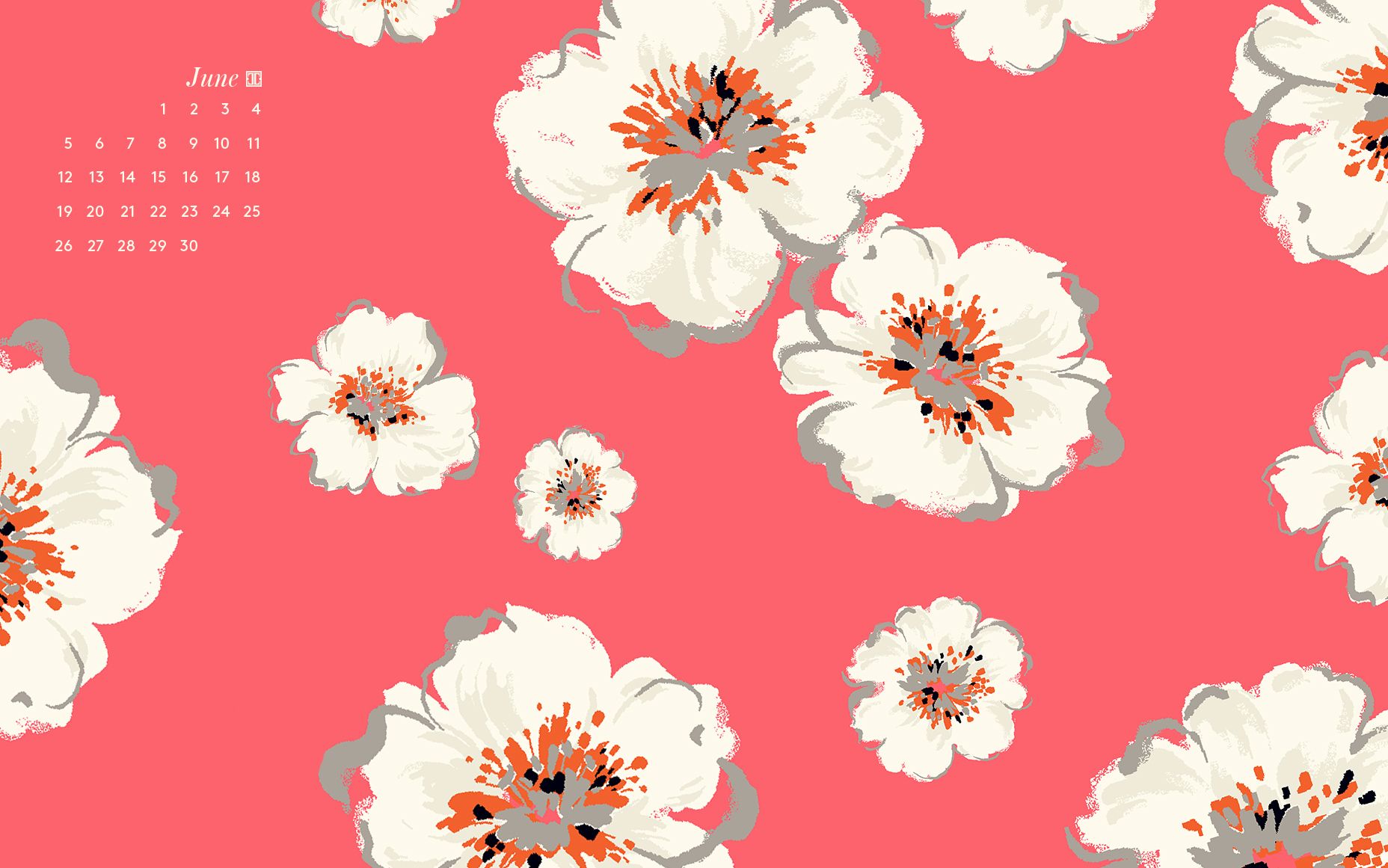 Fiori bianchi su sfondo rosa, 1856x1161 HD, Desktop