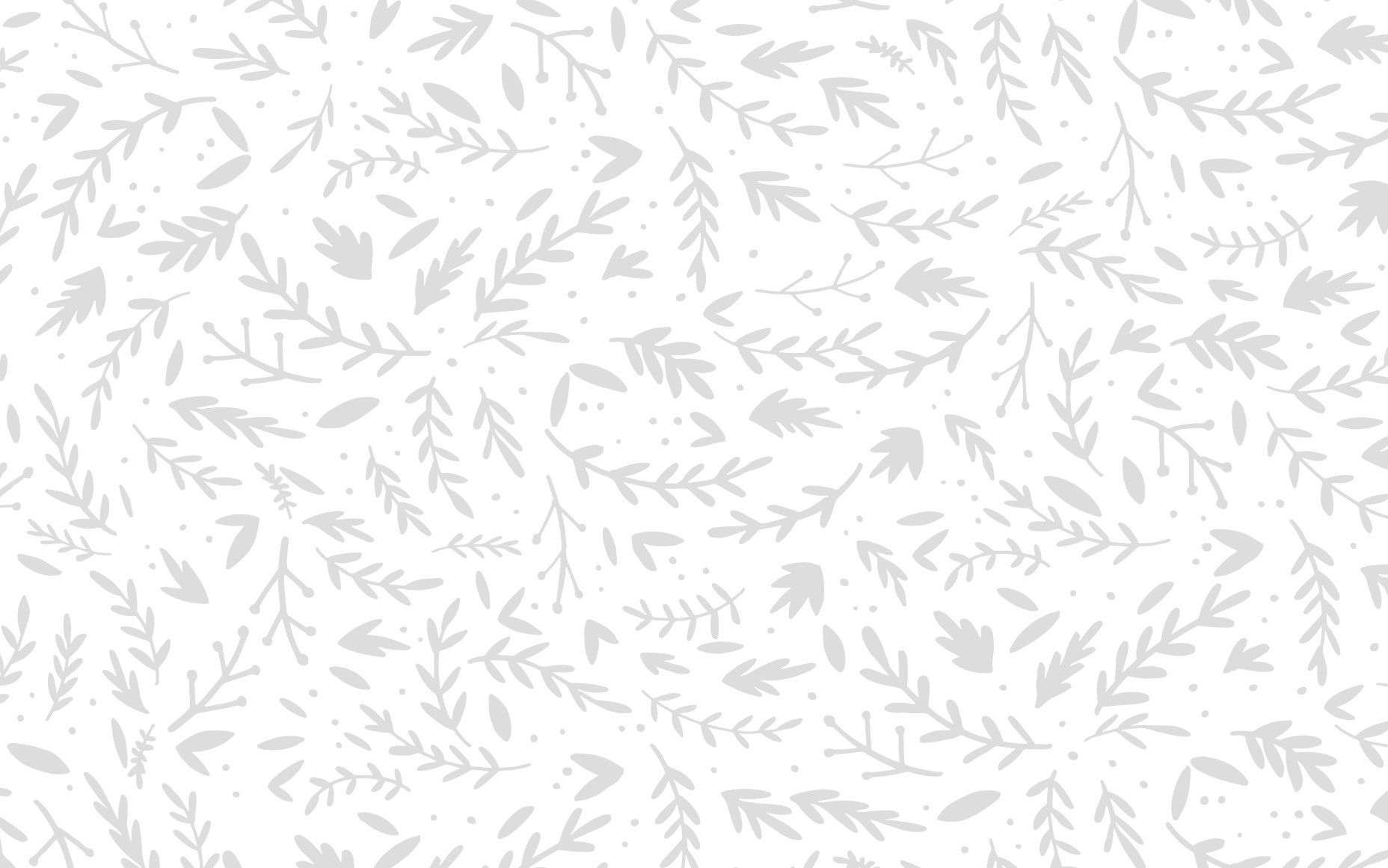 Foglie e rami grigi delicati, 1856x1161 900p, PC Desktop