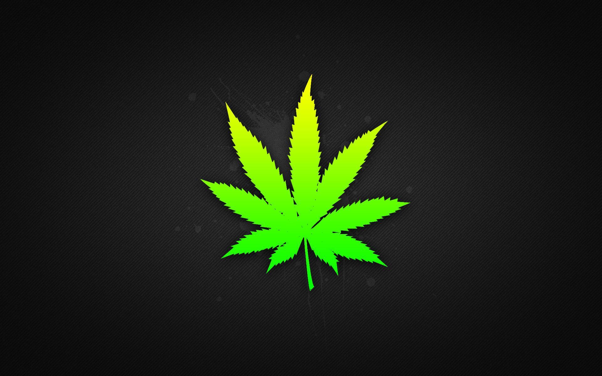 Foglia di cannabis verde, 1920x1200 Full HD+, PC Desktop