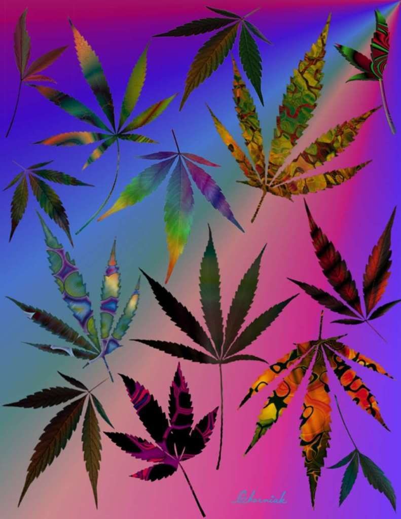 Fiore di cannabis arcobaleno colorato, 1920x1080 Full HD, Laptop