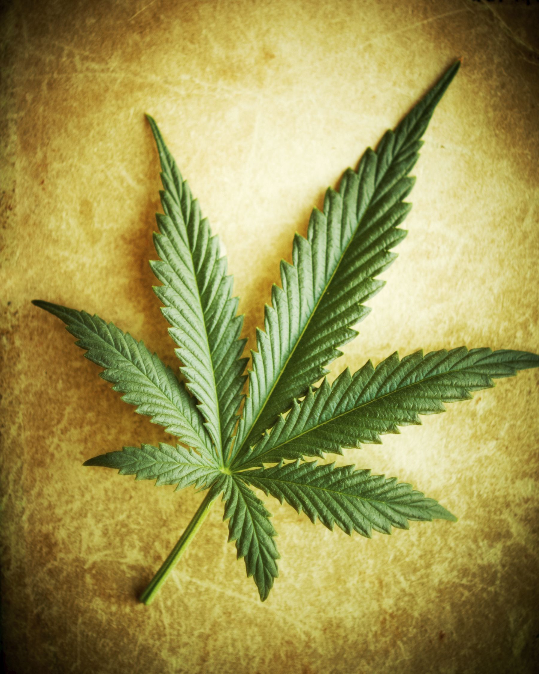 Foglie cannabis su sfondo tie-dye, 1058x914 HD, PC Desktop
