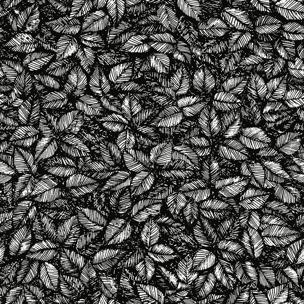 Foglie nere e bianche disegnate, 1000x1000 HD, Desktop