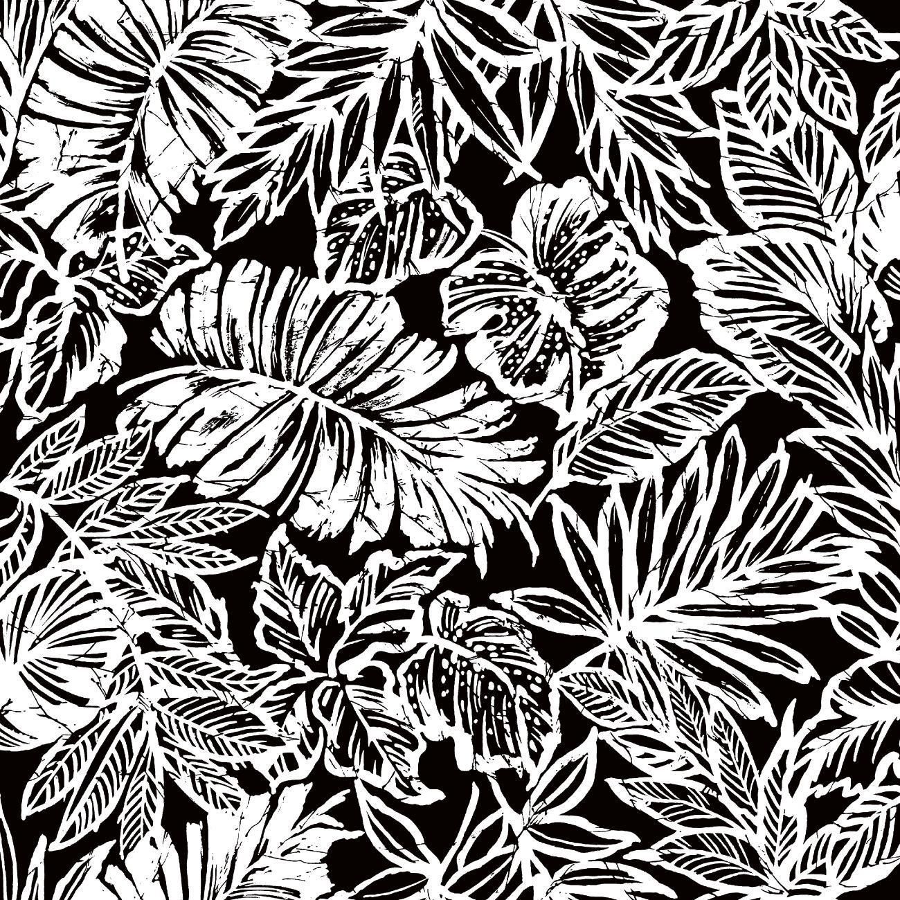 Foglie tropicali bianco e nero, 1300x1300 720p, PC