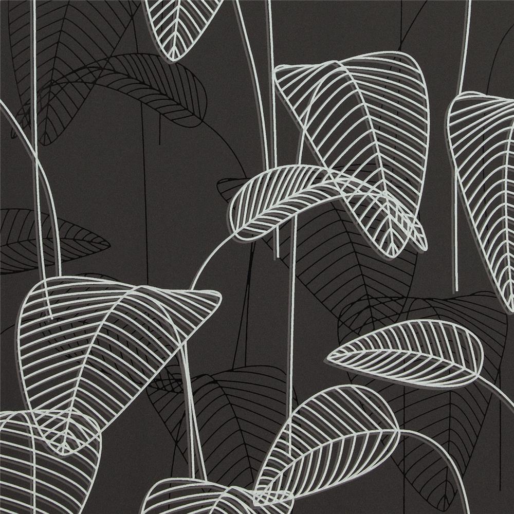 Foglie tropicali disegno nero e bianco, 1000x1000 HD, Laptop