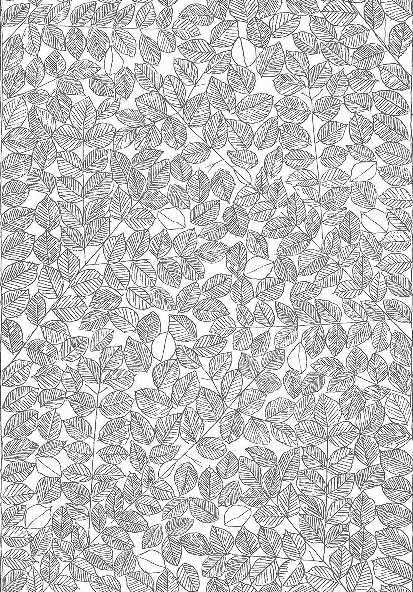 Foglie disegnate bianco e nero, 837x1200 Verticale, Mobile