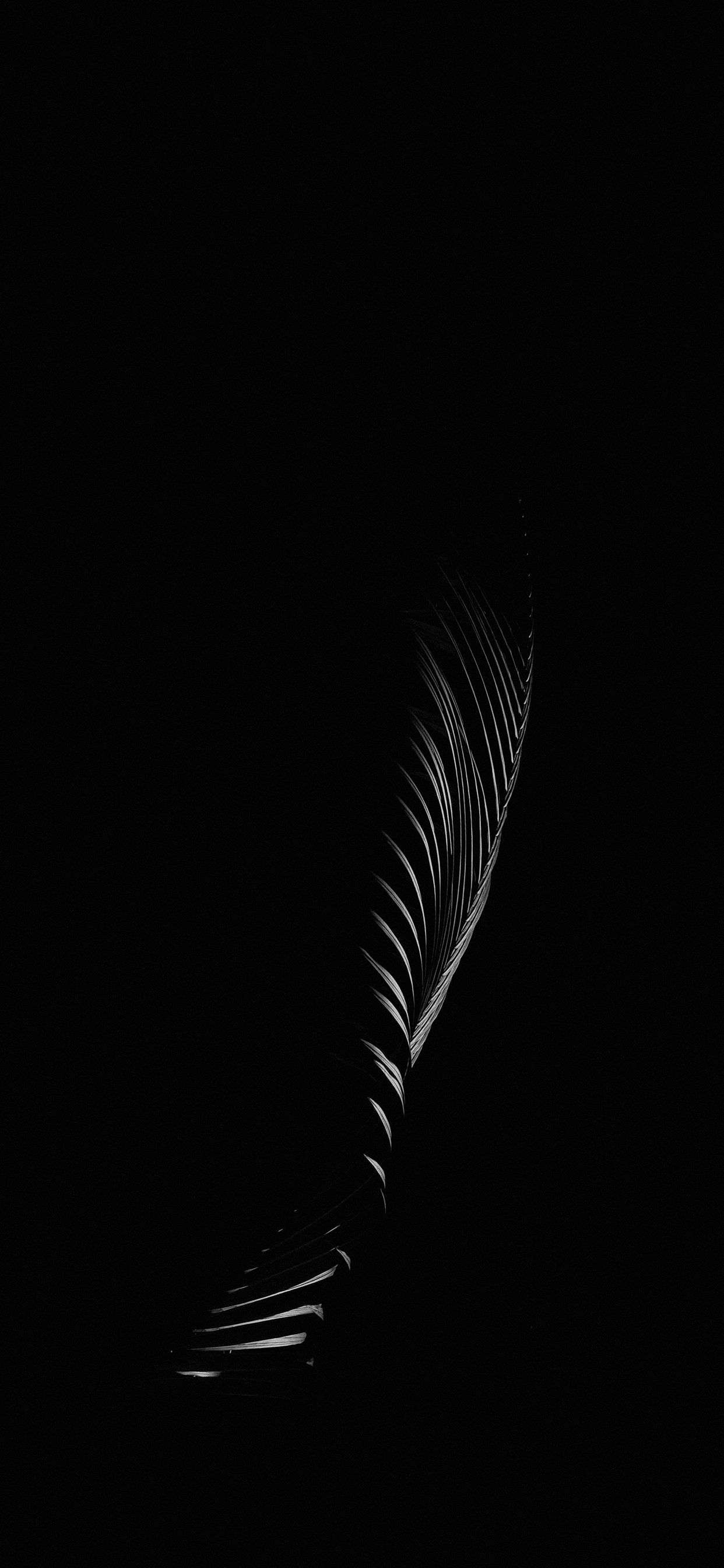 Foglia nera su sfondo nero, 1242x2688 Verticale, Telefono