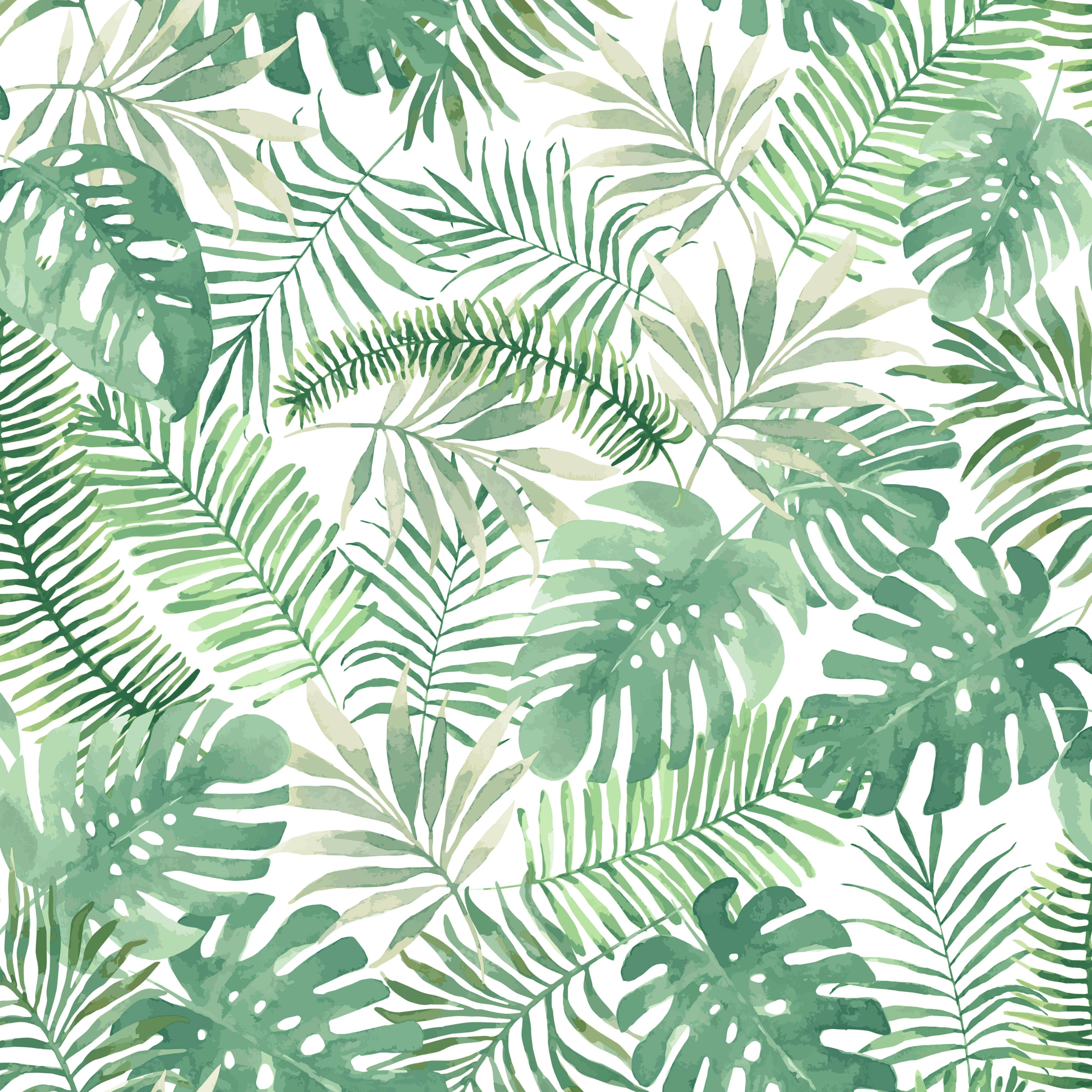 Foglie tropicali acquerello verde, 4000x4000 Ultra HD, 4K TV
