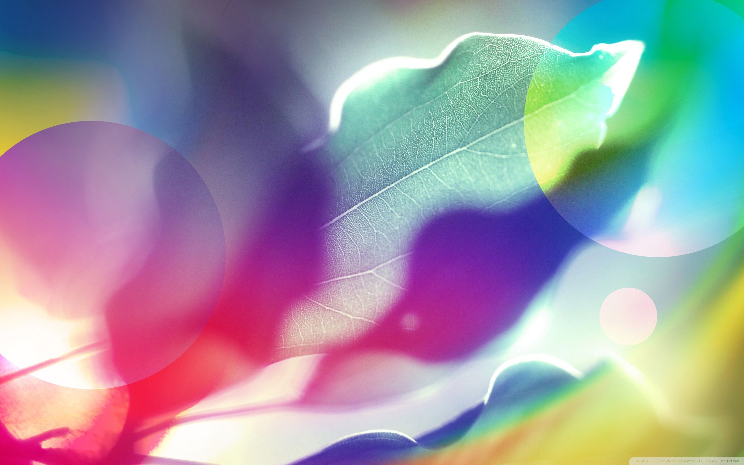 Foglia astratta multicolore sfumata, 2560x1600 2K+, PC