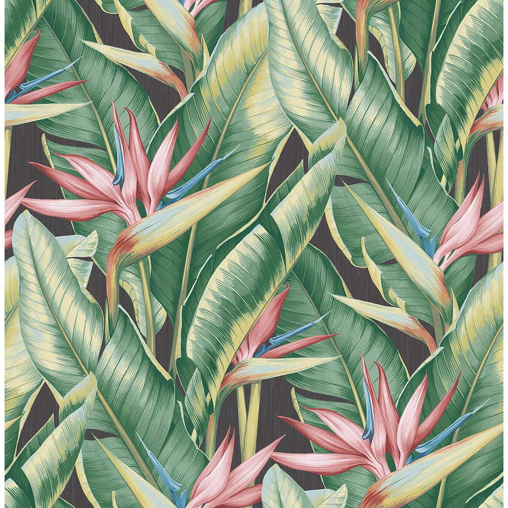 Foglie tropicali con fiori strelitzia, 1000x1000 HD, Desktop
