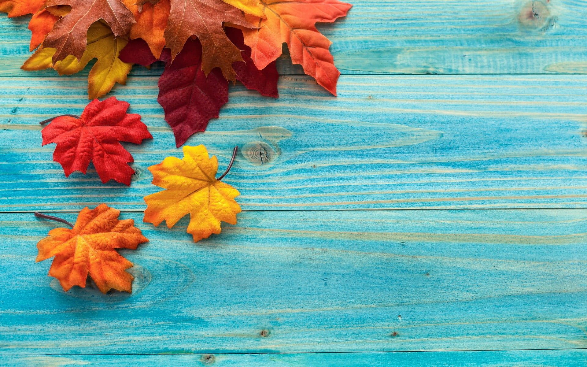 Foglie autunnali colorate su legno turchese, 1920x1200 Full HD+ WUXGA, Desktop