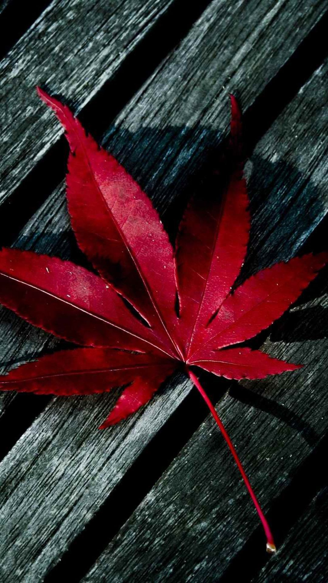 Foglia d'acero rossa su legno, 1080x1920 Full HD Verticale, Samsung Galaxy