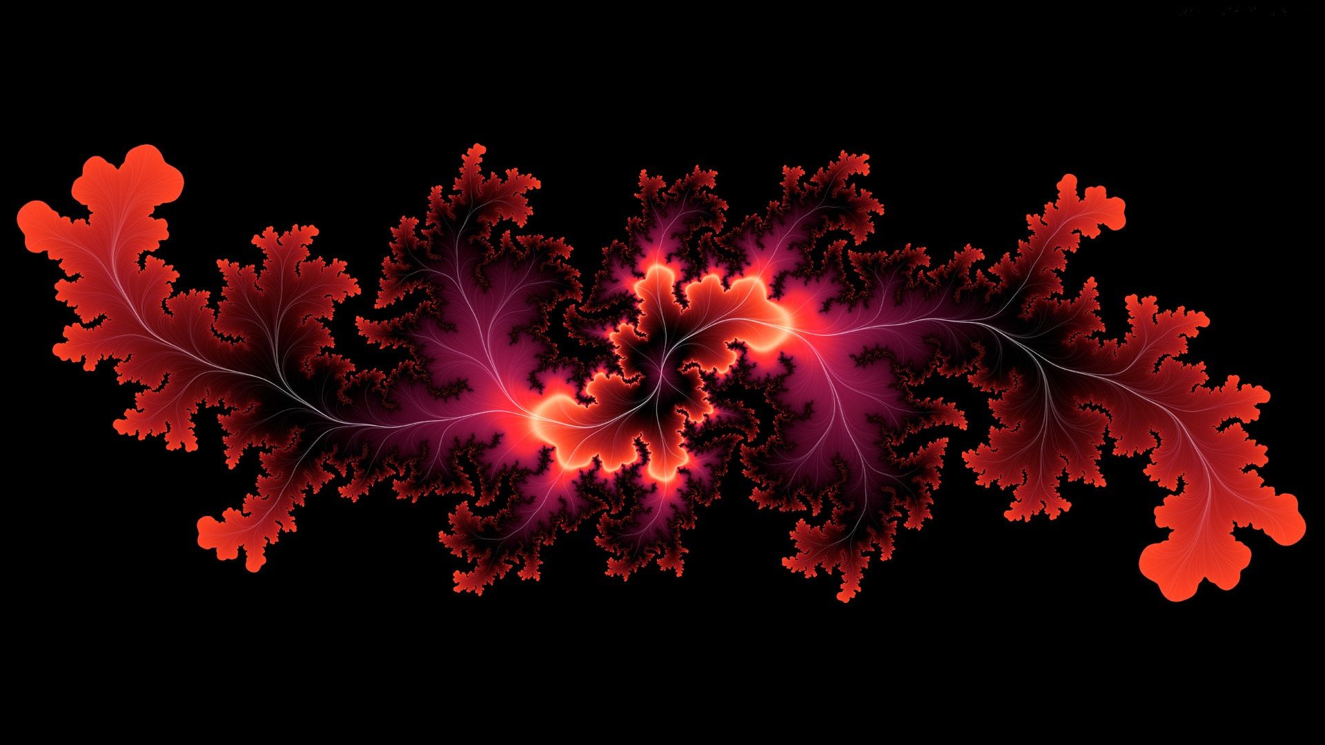 Frattale foglie rosse abstract, 1920x1080 Full HD, Desktop