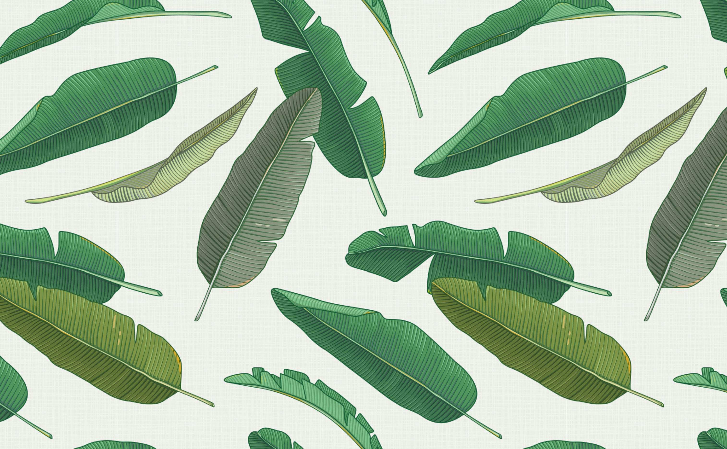 Foglie di banano verdi pattern, 3028x1872 WQXGA, Desktop