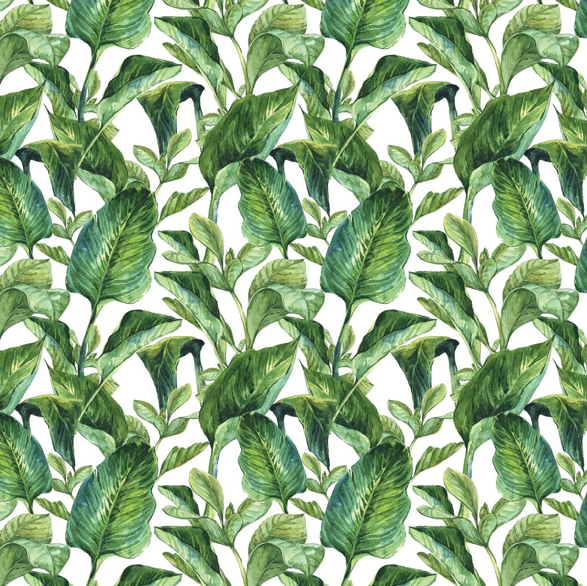 Foglie verdi tropicali dipinte, 1200x1199 HD, Desktop