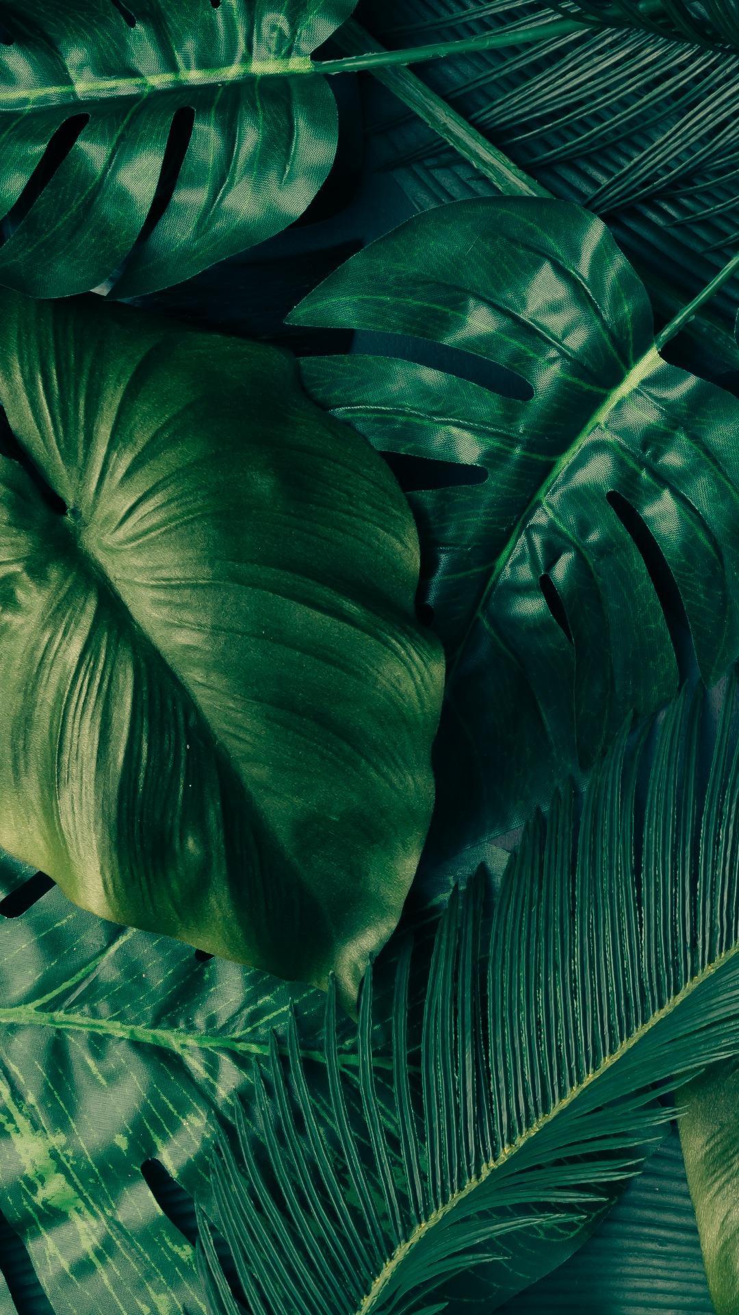 Foglie tropicali verdi, 1080x1920 Verticale, Samsung Galaxy