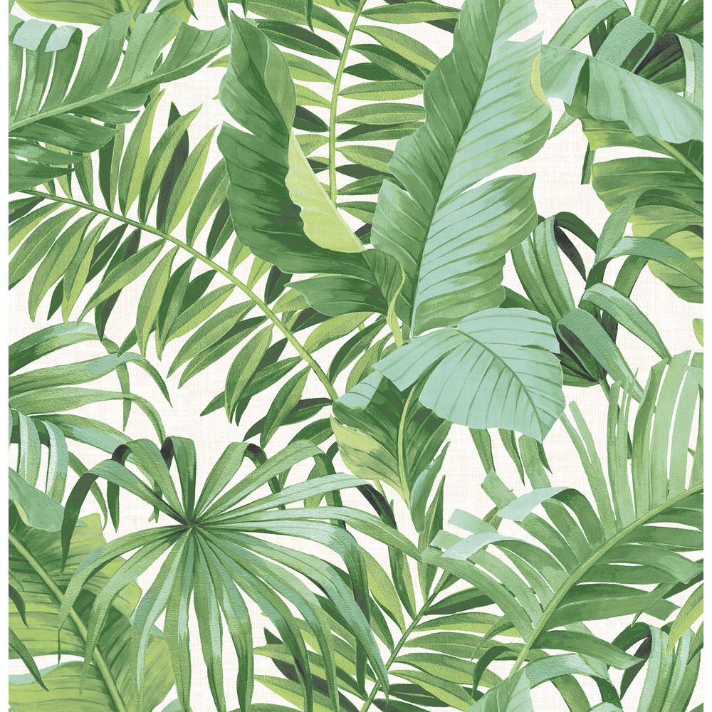 Foglie di palma verdi tropicali, 1000x1000 HD, Desktop