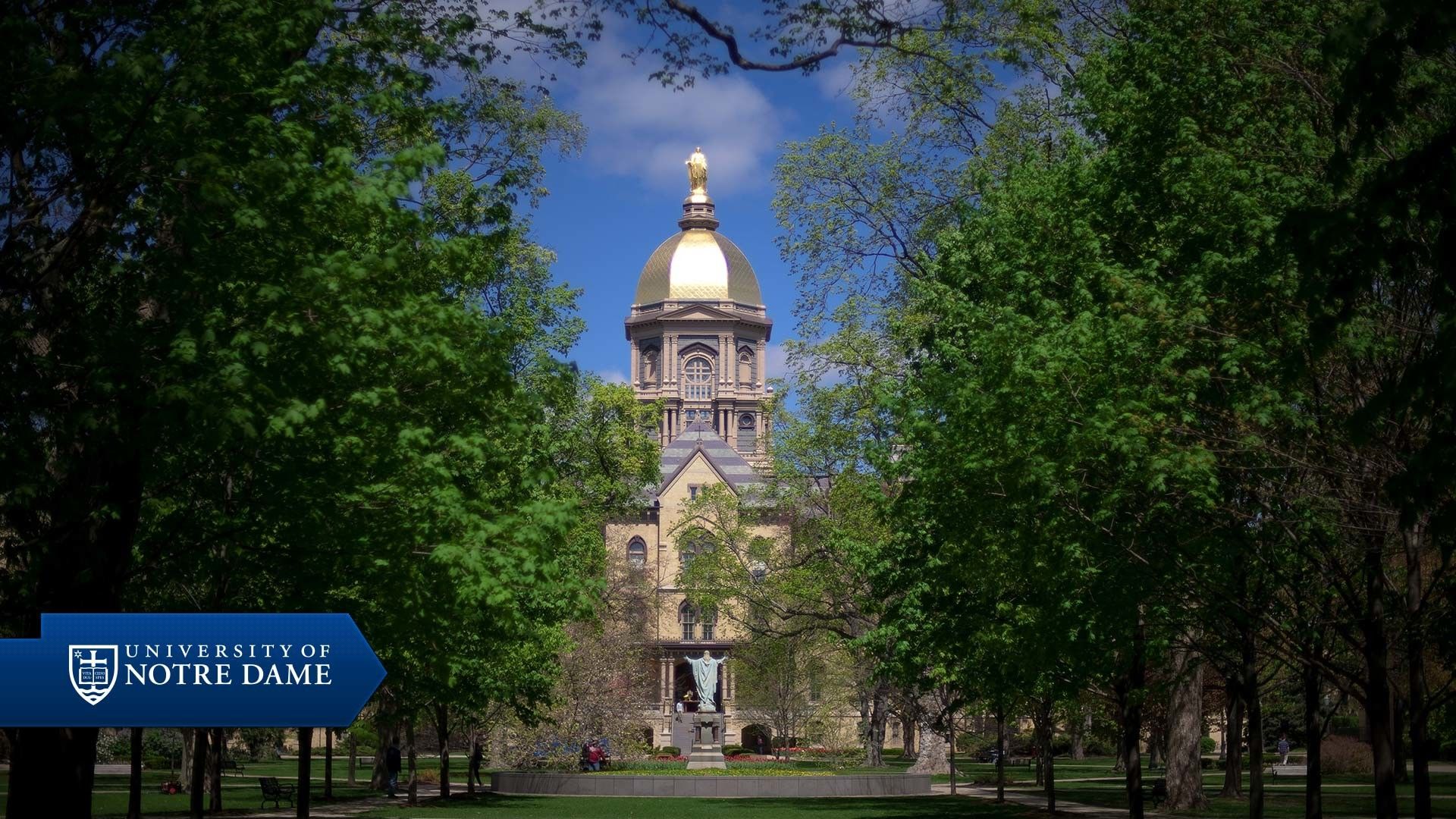 Notre Dame Football caschi giocatori, 1920x1080 Full HD 1080p, Laptop