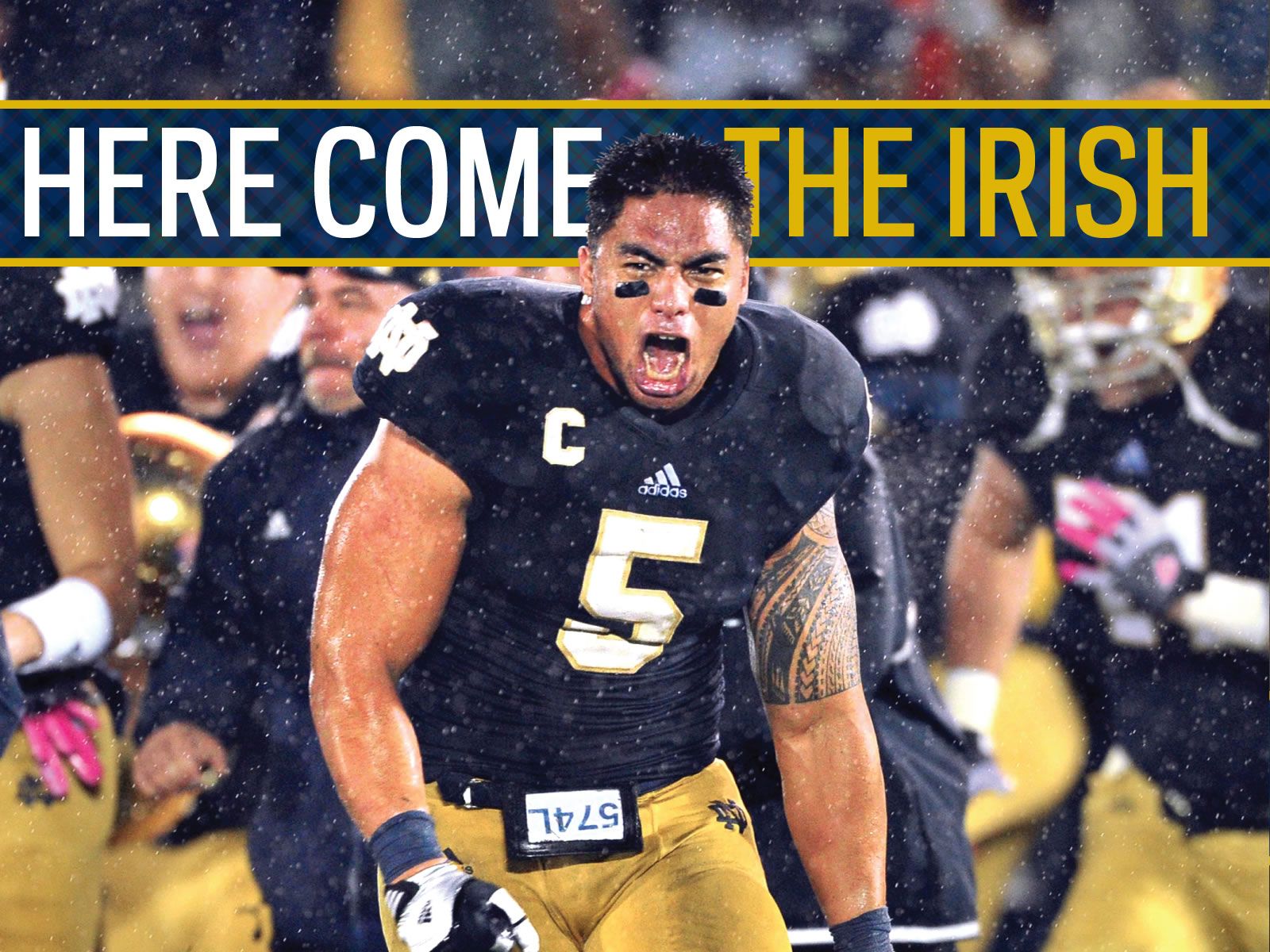 Giocatore football Notre Dame urlo, 1600x1200 900p, PC