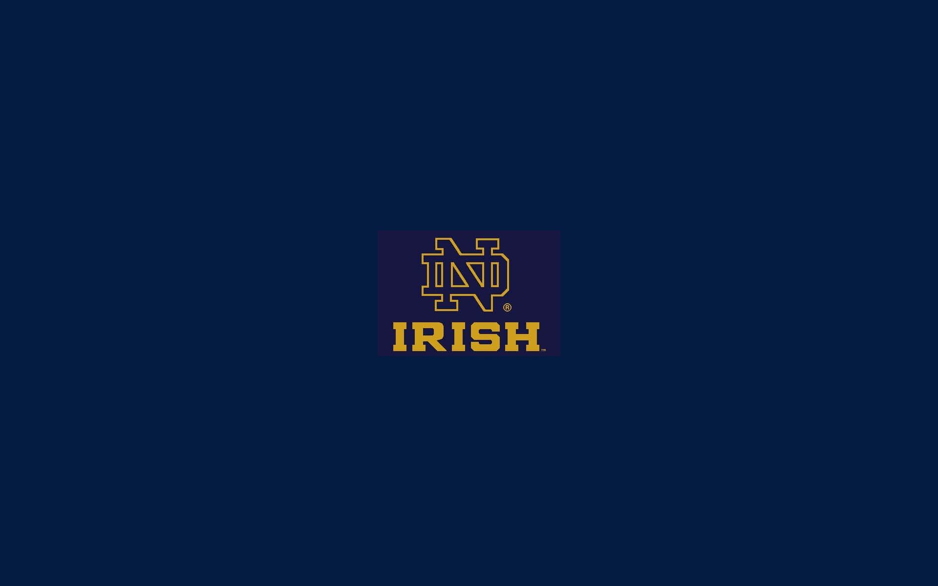 Casco football Notre Dame Irish, 1440x2560 Full HD Verticale, Samsung Galaxy