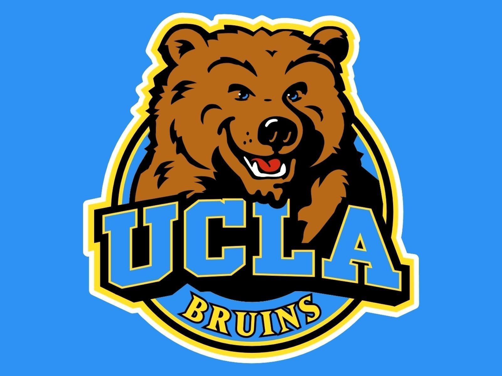 Logo UCLA Bruins orso, 1600x1200 HD Ready, Desktop