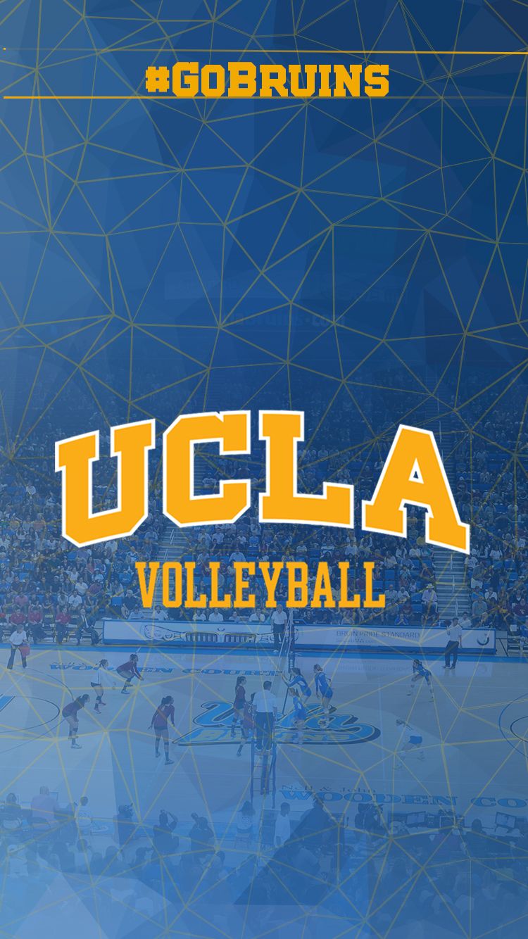 UCLA Volleyball logo blu, 750x1334 Full HD Verticale, iPhone
