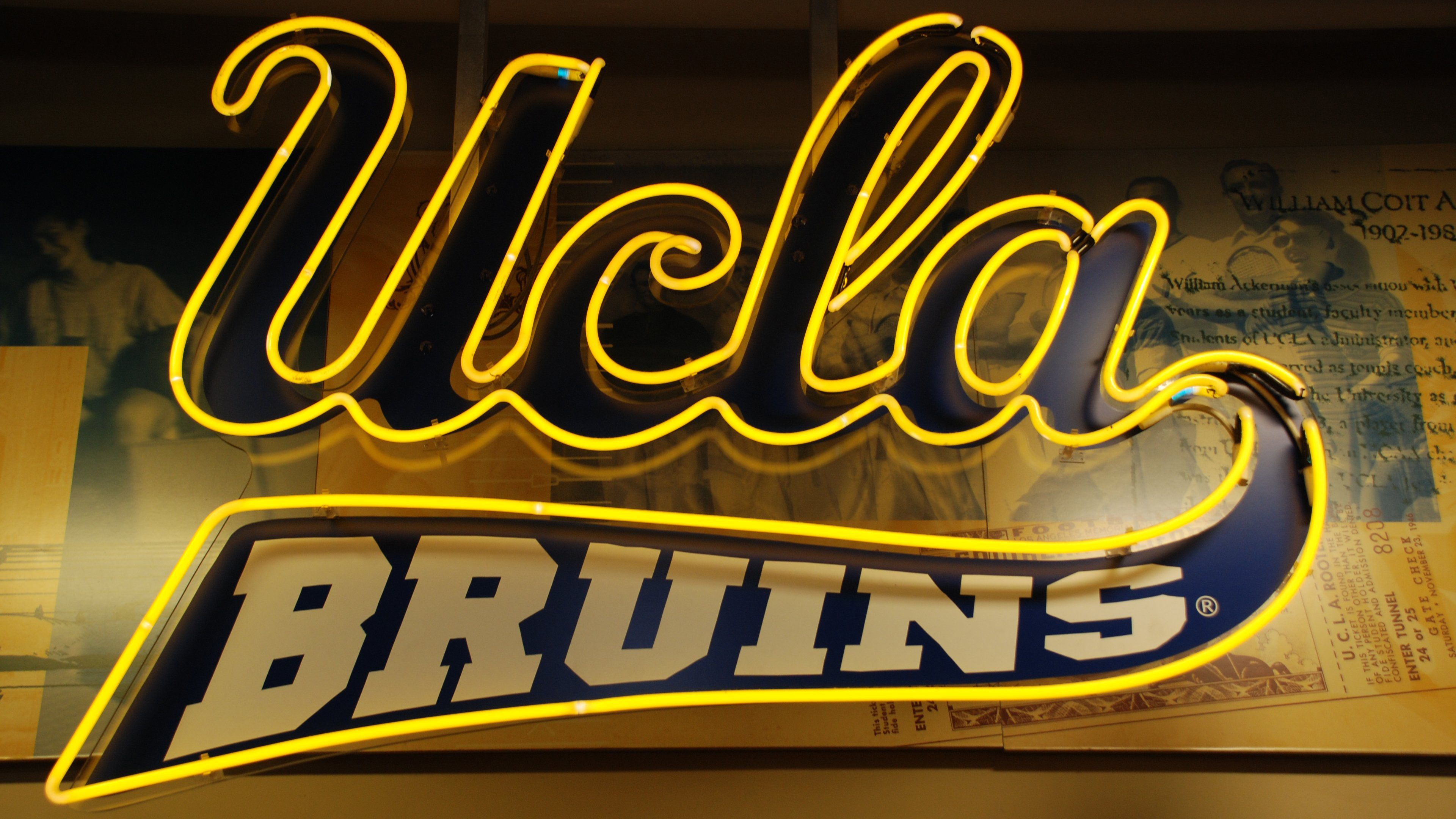 Insegna al neon UCLA Bruins, 3840x2160 4K, Desktop 4K
