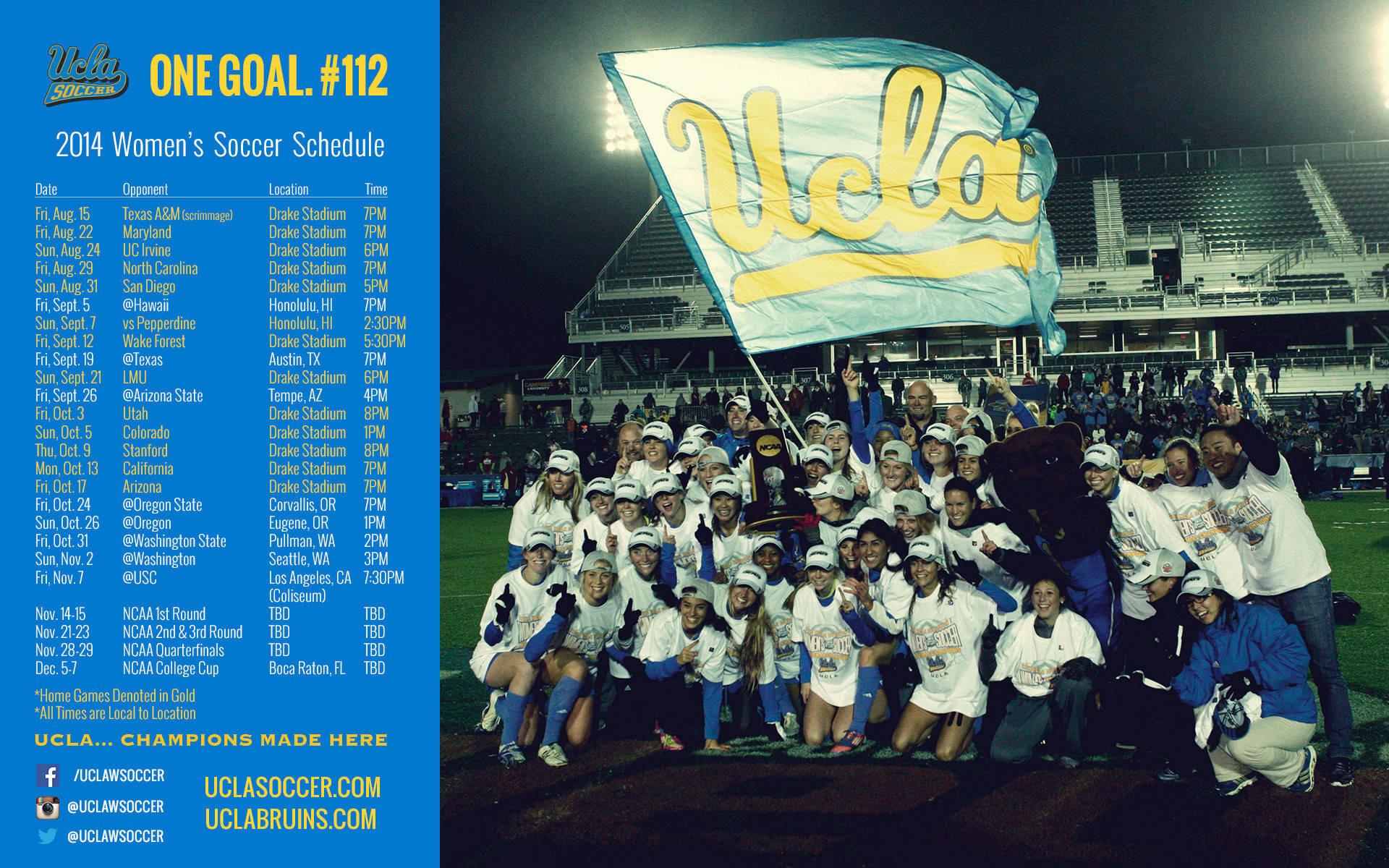 Giocatore football Michigan Wolverines, 1280x800 720p, Laptop