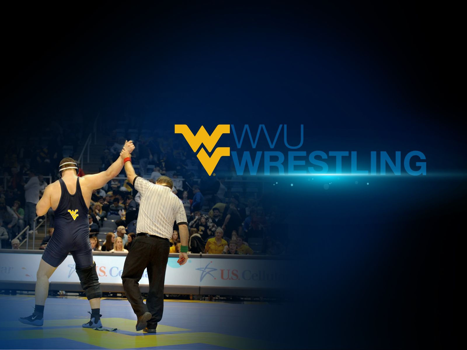Casco football WVU blu, 1440x900 HD, Desktop