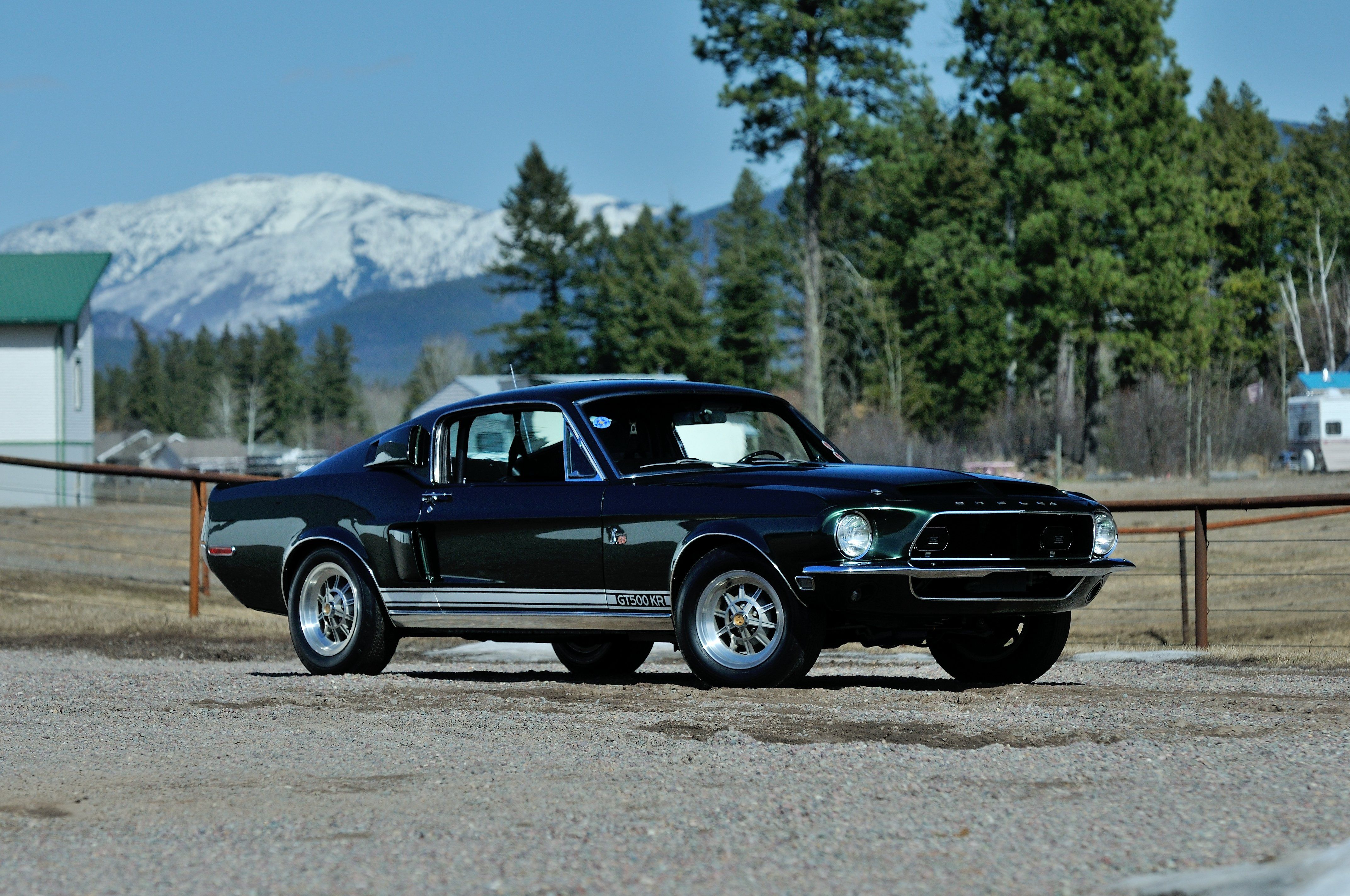 Ford Mustang Shelby GT500 nera, 4288x2848 4K, Desktop 4K