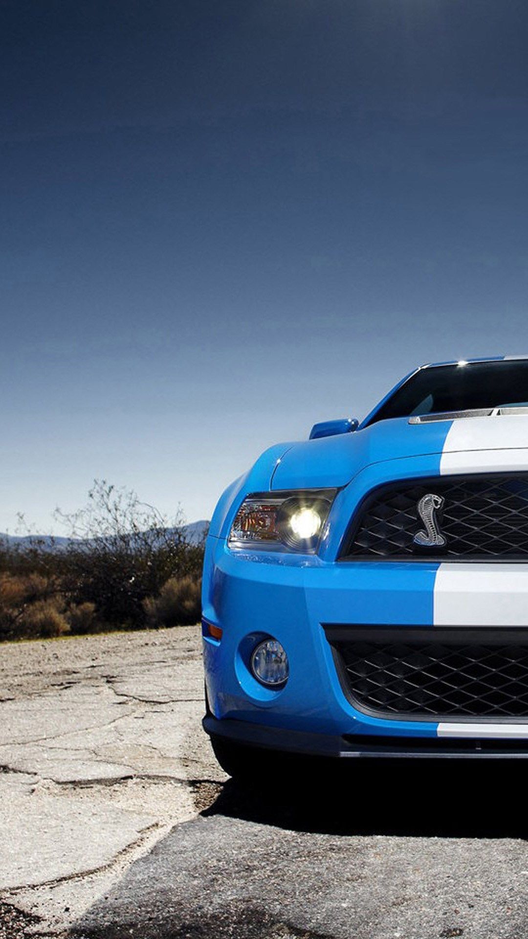 Ford Mustang Shelby blu, 1080x1920 Verticale, Mobile