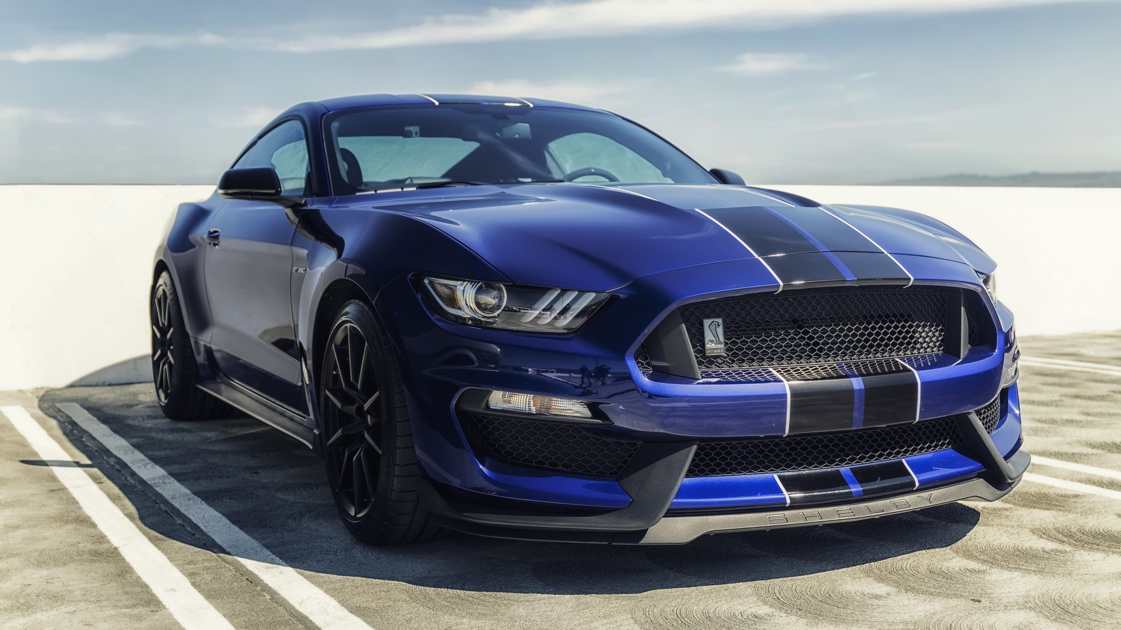 Ford Mustang Shelby blu, 3840x2160 Ultra HD, 4K TV