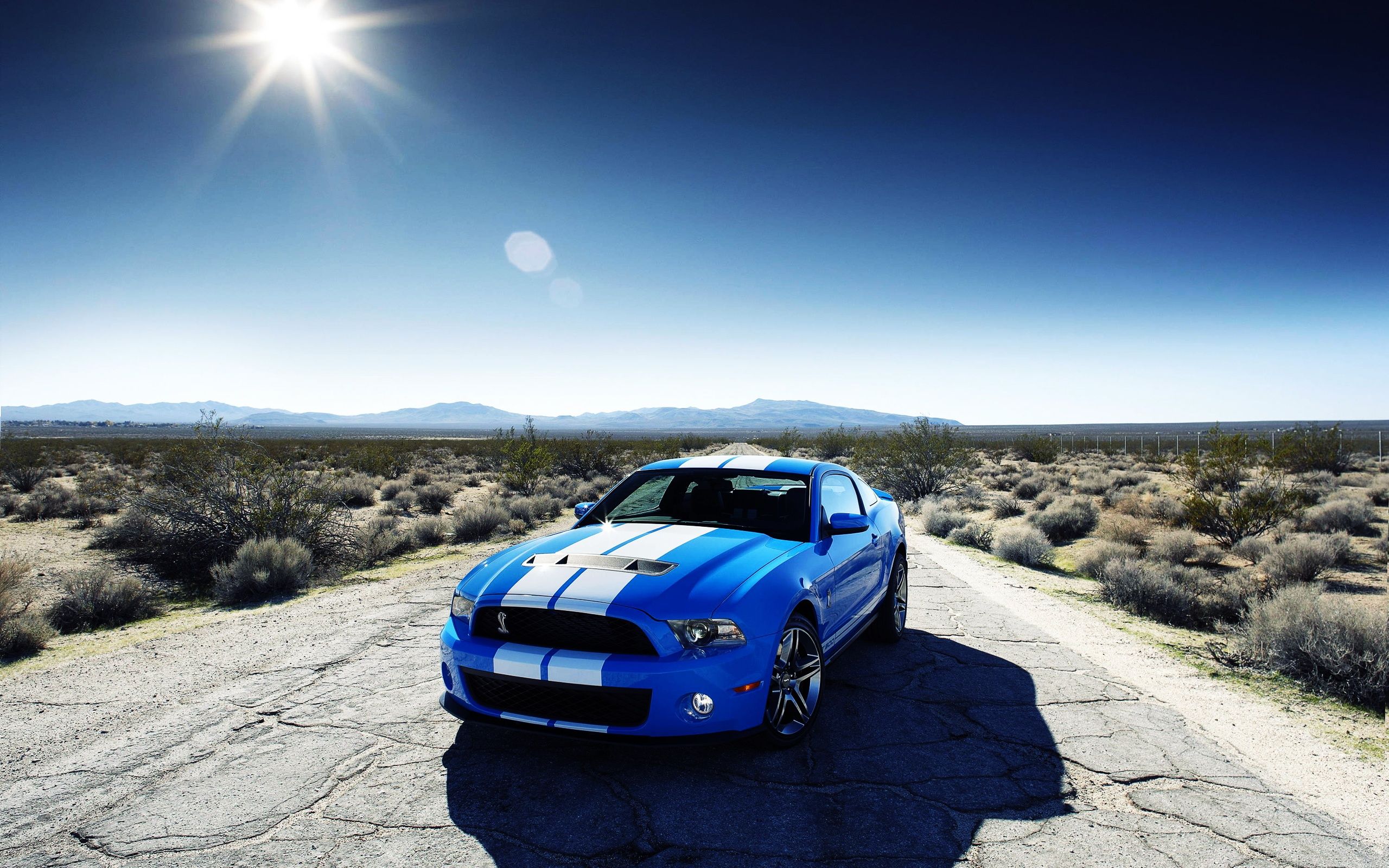 Ford Mustang blu nel deserto, 2560x1600 WQXGA, Desktop