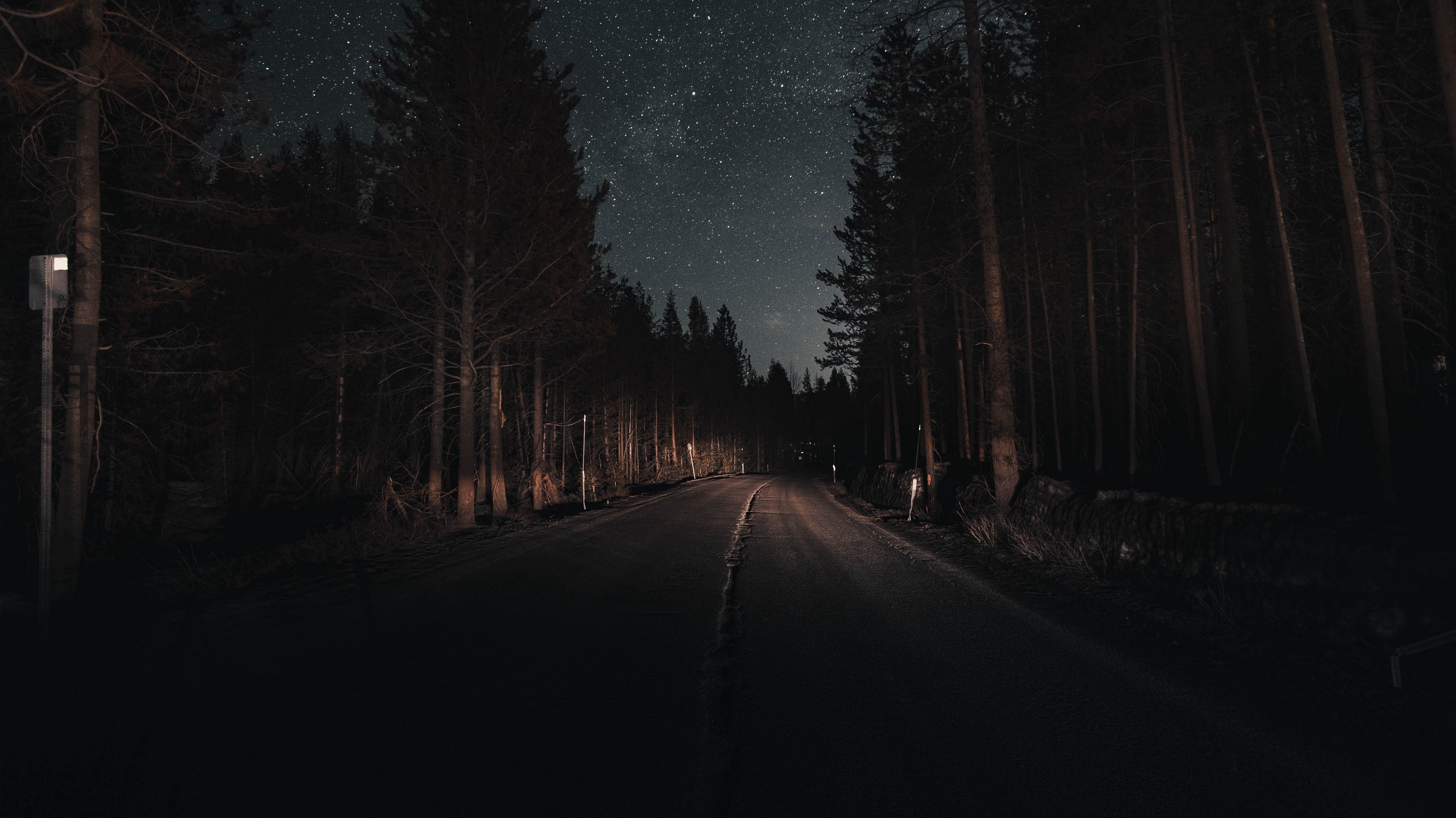 Strada forestale di notte, 3840x2160 UHD, PC 4K