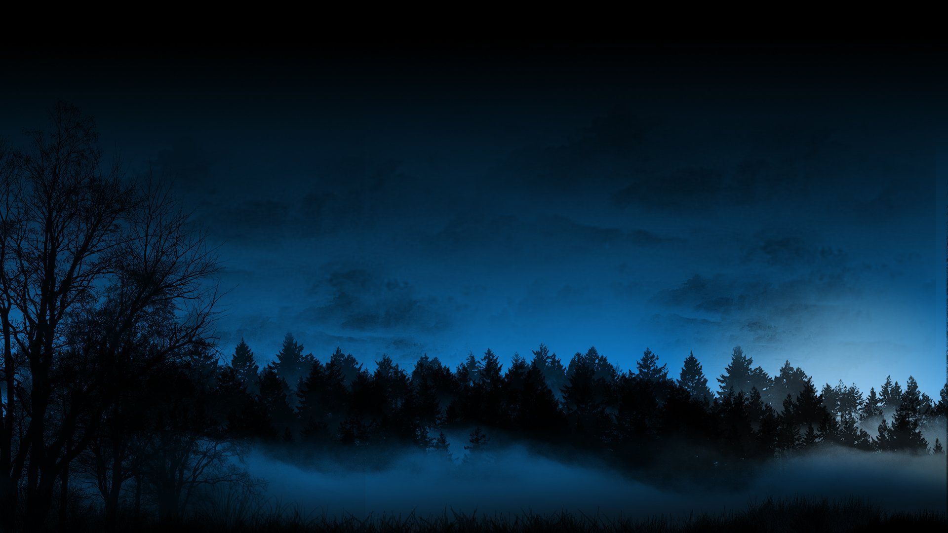 Foresta scura di notte, 1920x1080 1080p, Desktop