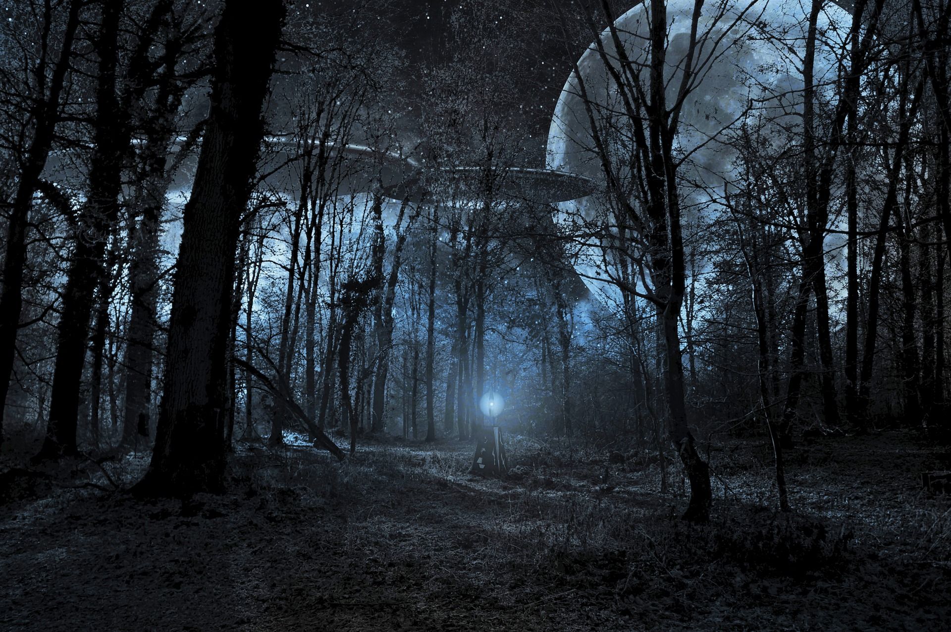 Foresta scura notturna con luna, 1920x1275 Full HD+, Desktop