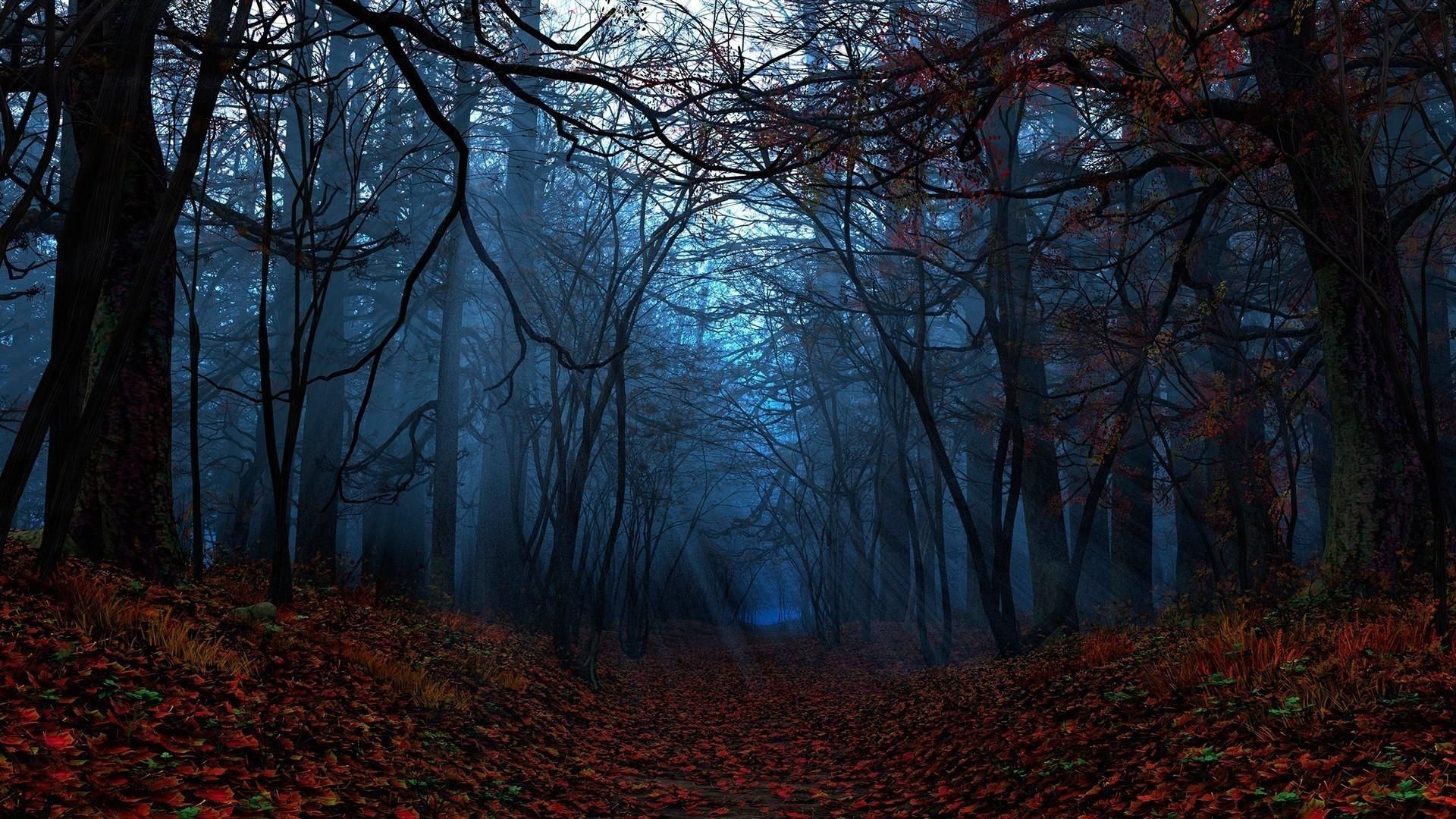 Foresta autunnale di notte, 1920x1080 1080p, PC Desktop