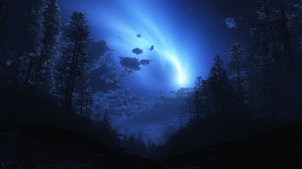 Foresta notturna con nebbia blu, 1244x700 HD, PC Desktop