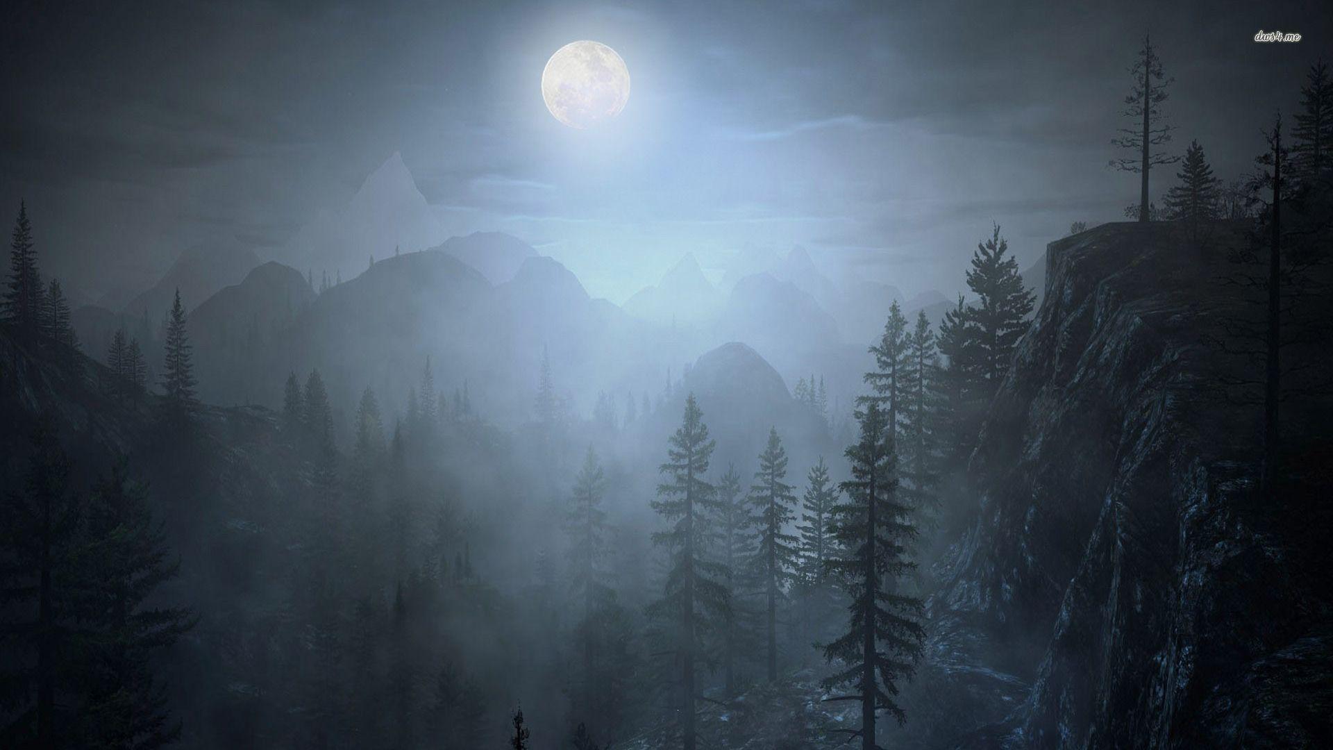 Foresta notturna con luna piena, 1920x1080 Full HD, Desktop