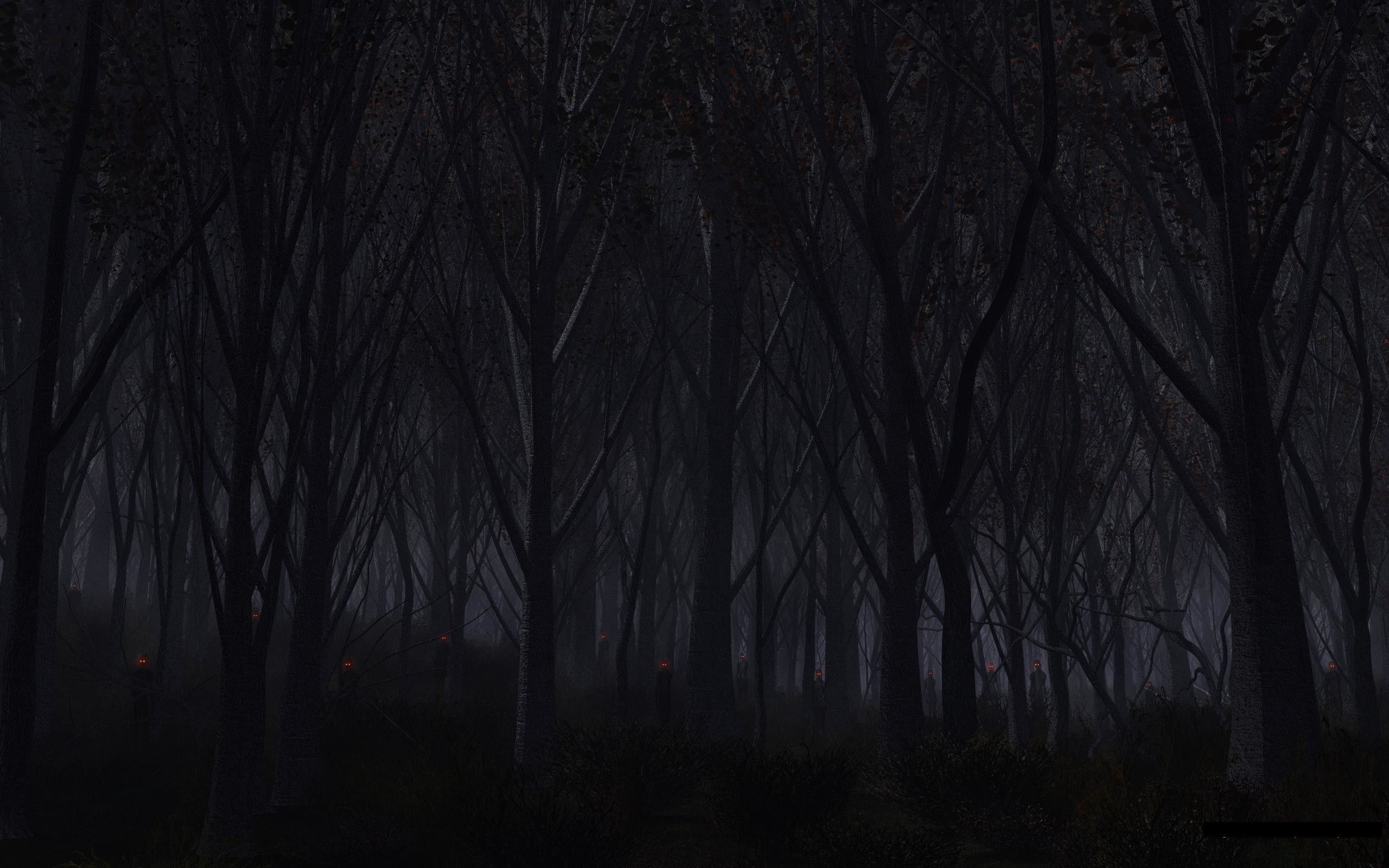 Foresta scura di notte, 2560x1600 2K+, Laptop
