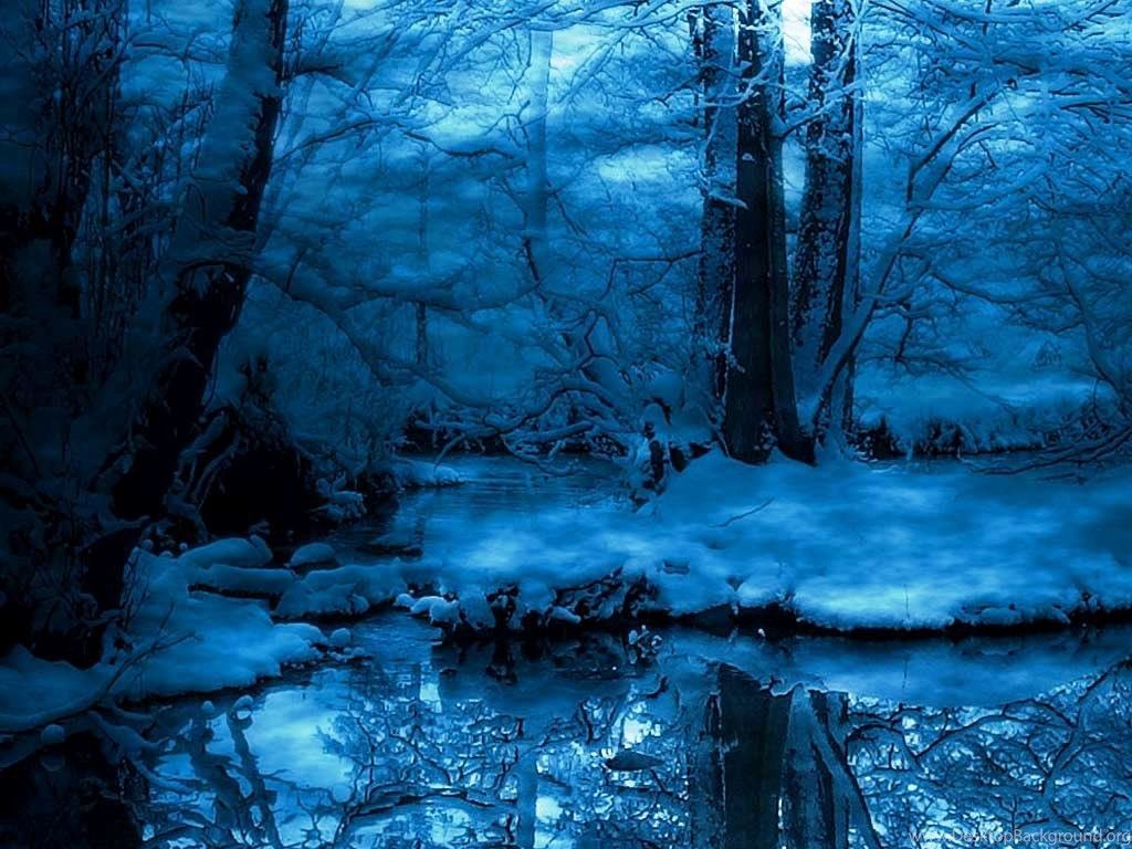 Foresta invernale notturna blu, 1024x768 HD, PC