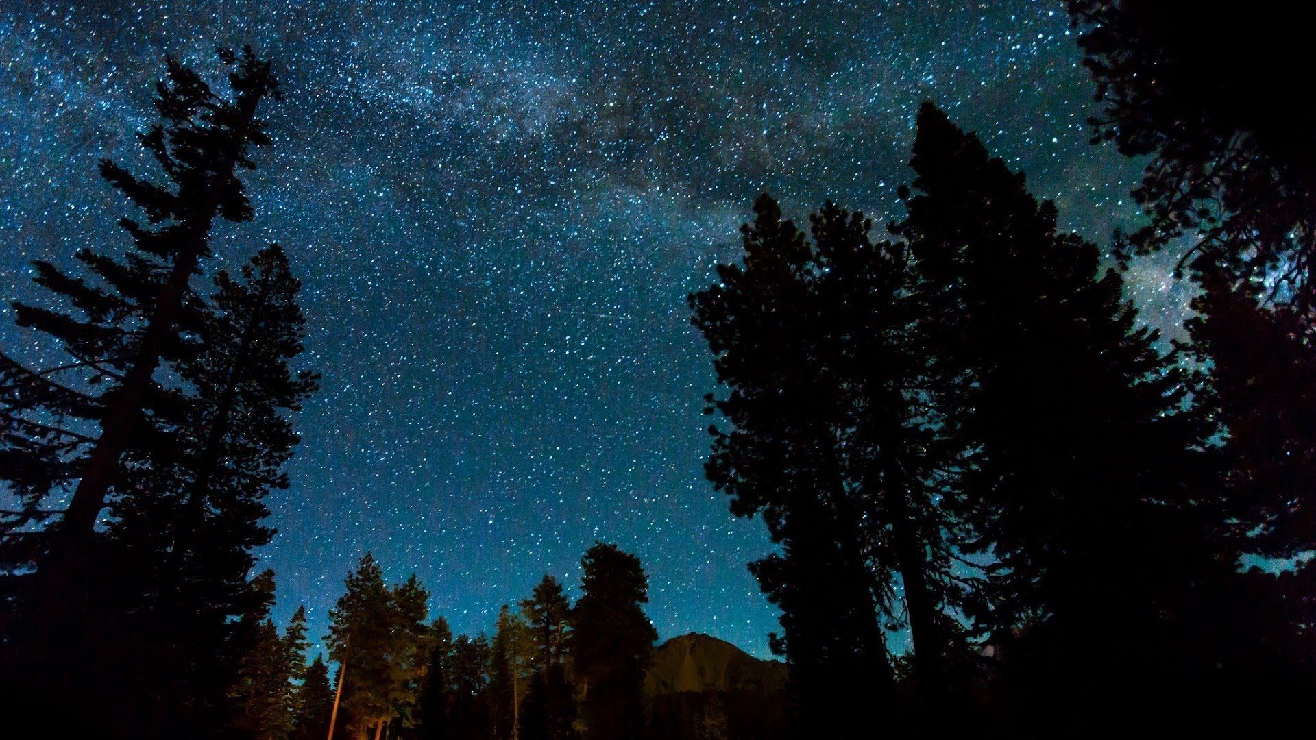 Cielo stellato foresta notturna, 1920x1080 Full HD 1080p, Desktop