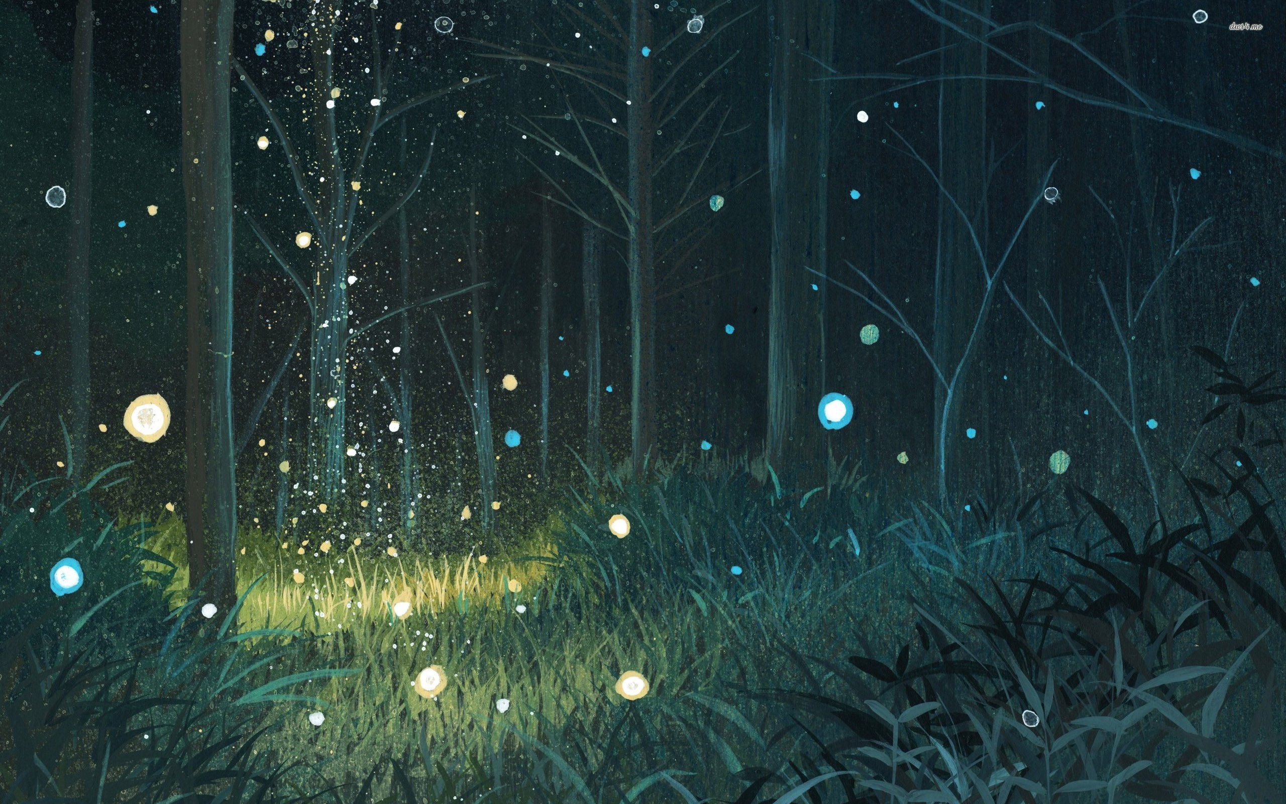 Foresta notturna con lucciole, 2560x1600 2K+, PC